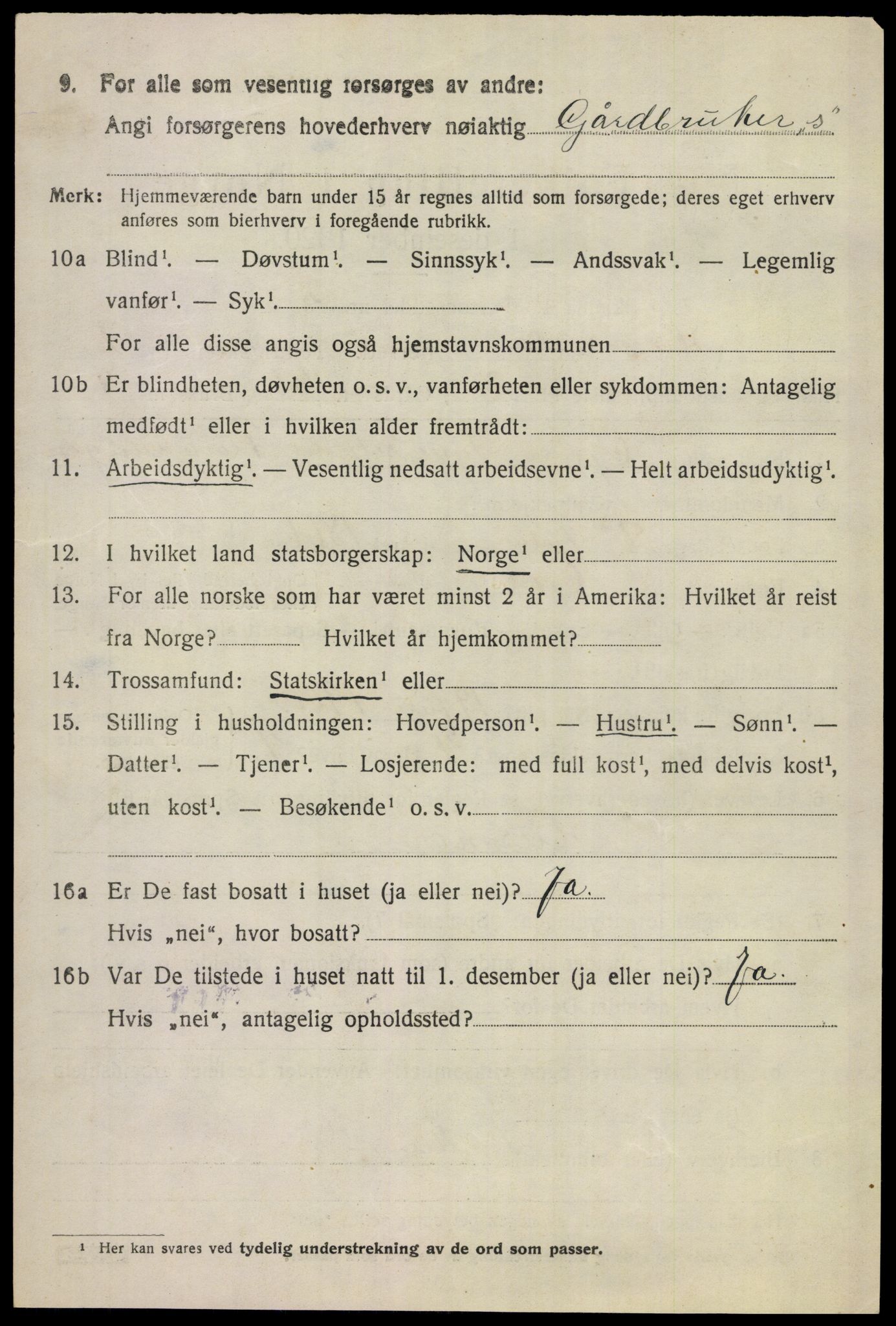 SAKO, 1920 census for Hemsedal, 1920, p. 699