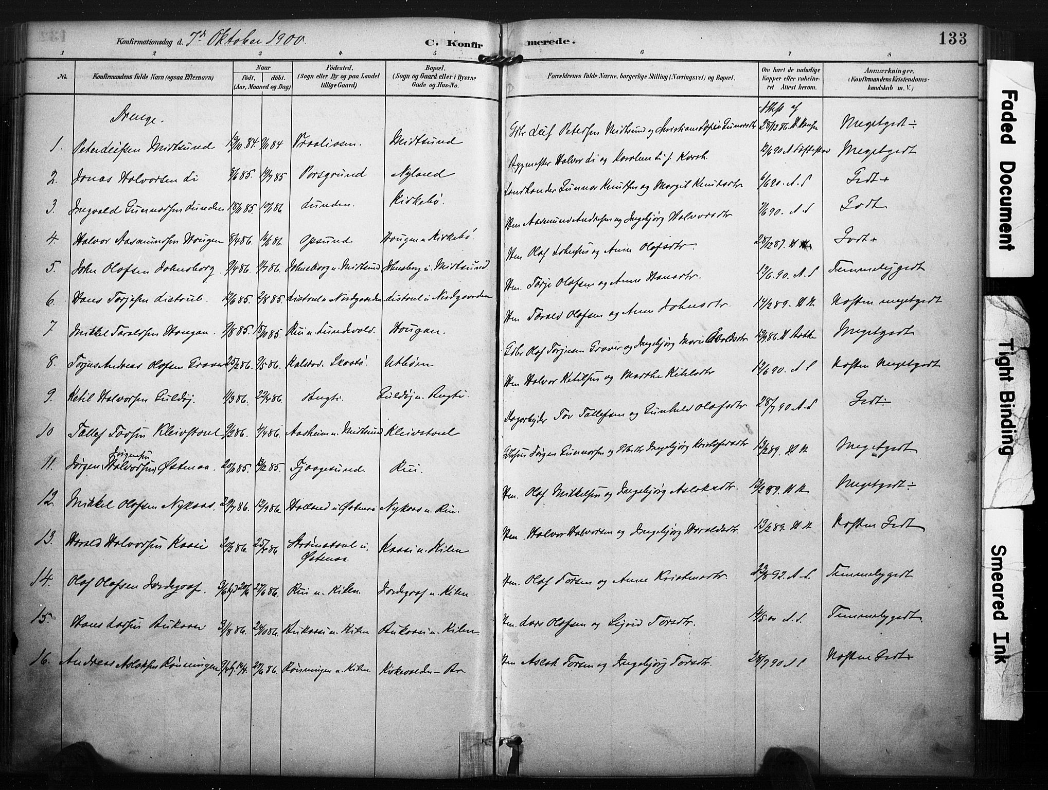 Kviteseid kirkebøker, SAKO/A-276/F/Fa/L0008: Parish register (official) no. I 8, 1882-1903, p. 133