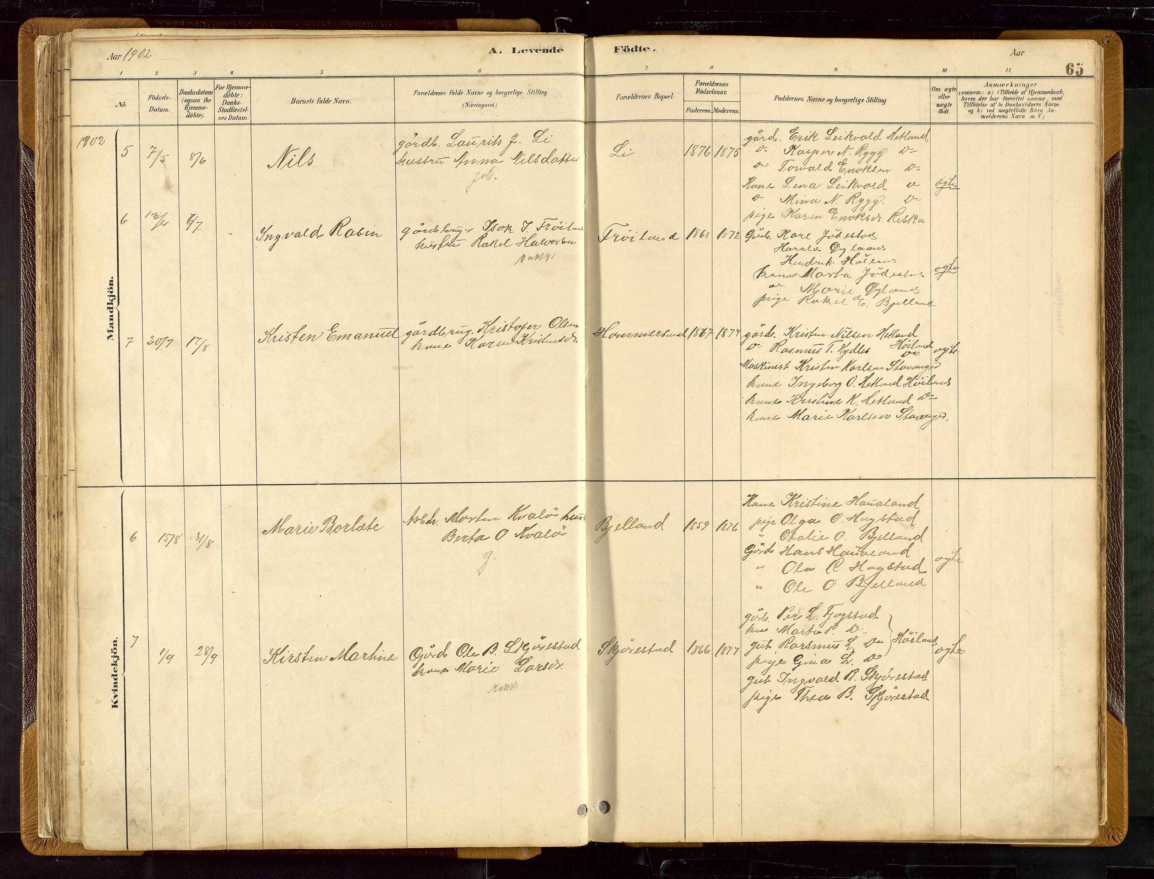 Hetland sokneprestkontor, SAST/A-101826/30/30BB/L0007: Parish register (copy) no. B 7, 1878-1910, p. 65