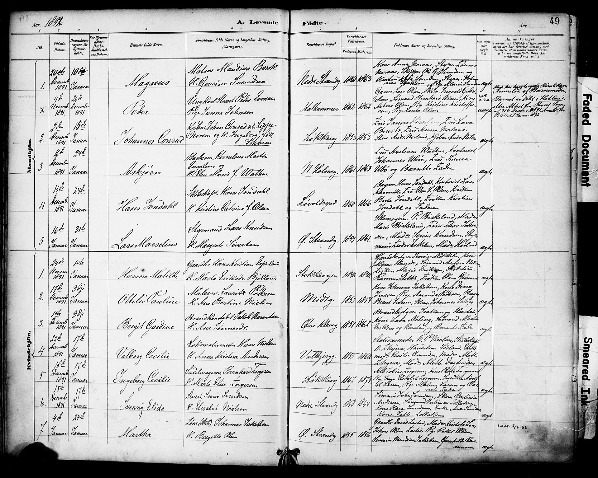 Domkirken sokneprestkontor, SAST/A-101812/001/30/30BA/L0030: Parish register (official) no. A 29, 1889-1902, p. 49