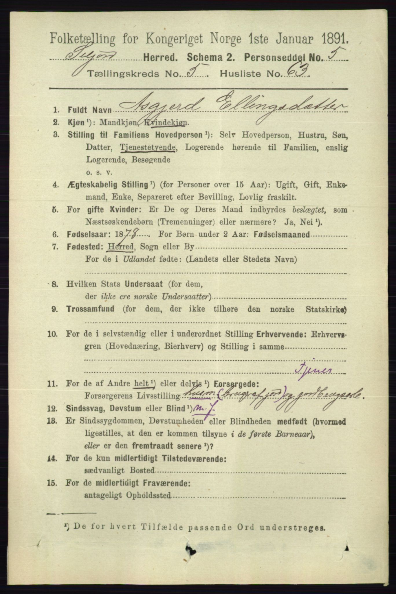RA, 1891 census for 0828 Seljord, 1891, p. 2136