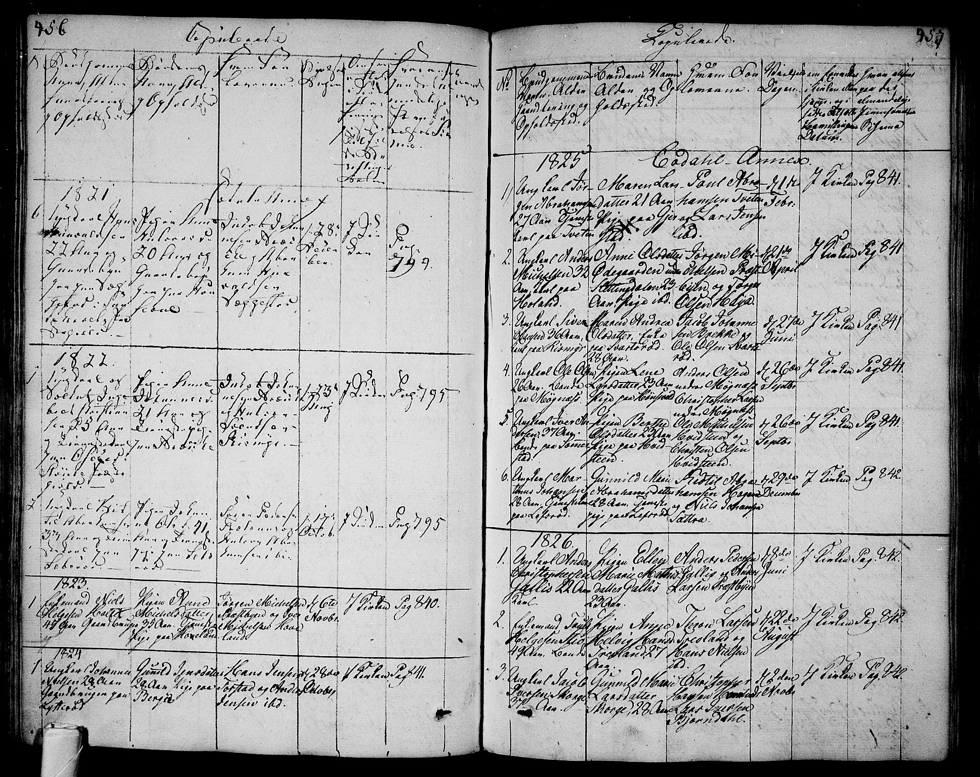 Andebu kirkebøker, AV/SAKO-A-336/F/Fa/L0003: Parish register (official) no. I 3 /3, 1815-1828, p. 456-457