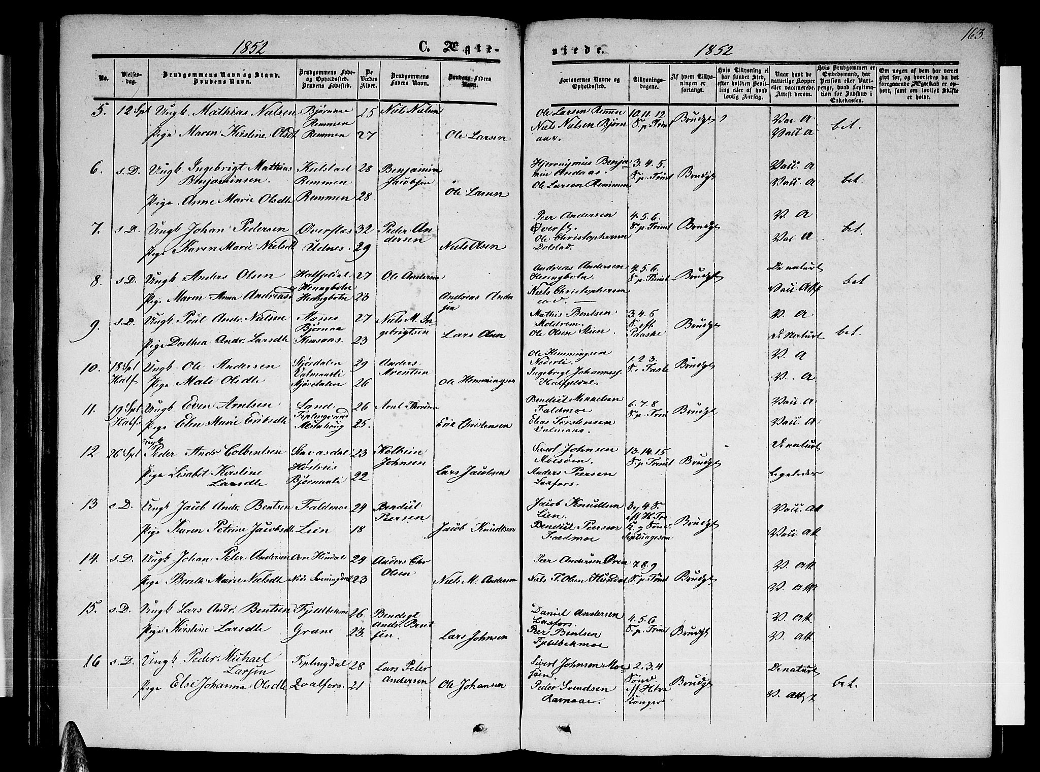 Ministerialprotokoller, klokkerbøker og fødselsregistre - Nordland, SAT/A-1459/820/L0301: Parish register (copy) no. 820C03, 1851-1858, p. 163