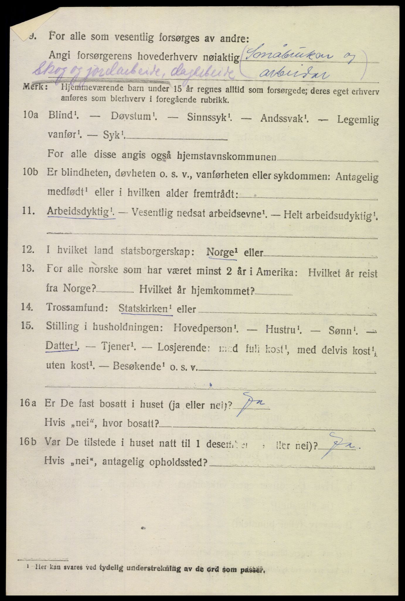 SAK, 1920 census for Hornnes, 1920, p. 1542