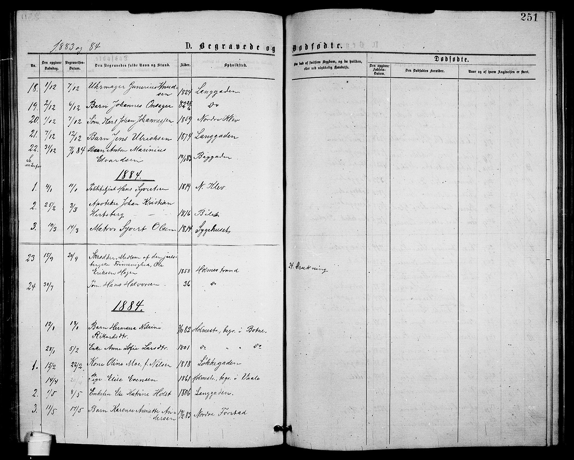 Holmestrand kirkebøker, AV/SAKO-A-346/G/Ga/L0004: Parish register (copy) no. 4, 1874-1888, p. 251