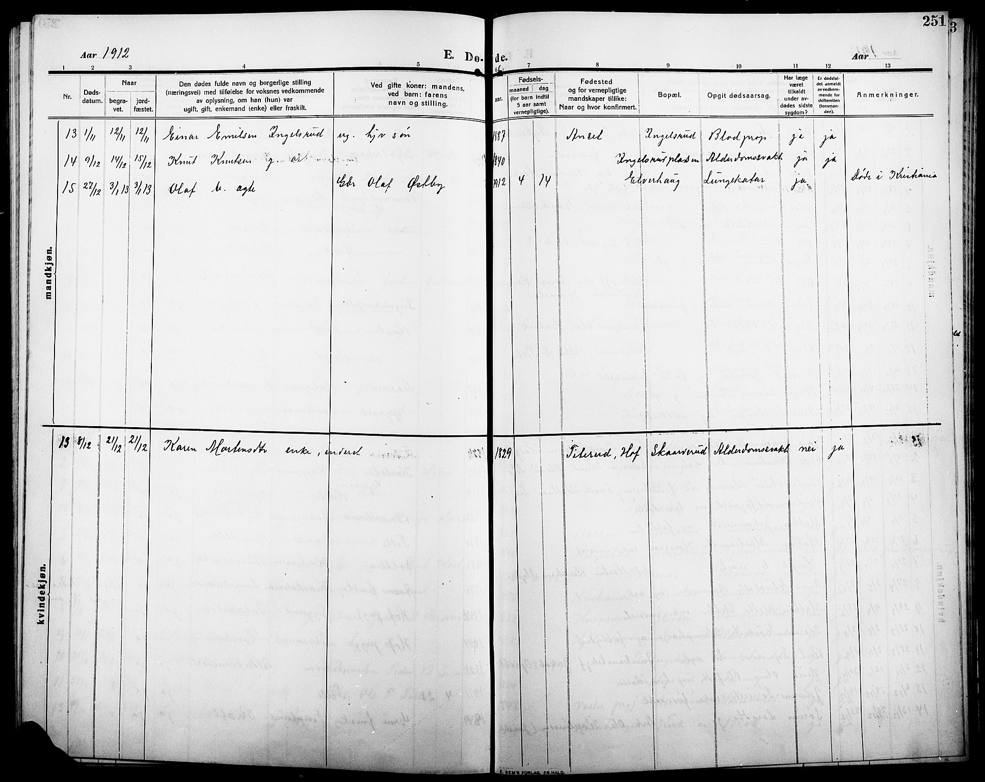 Åsnes prestekontor, SAH/PREST-042/H/Ha/Hab/L0007: Parish register (copy) no. 7, 1909-1926, p. 251