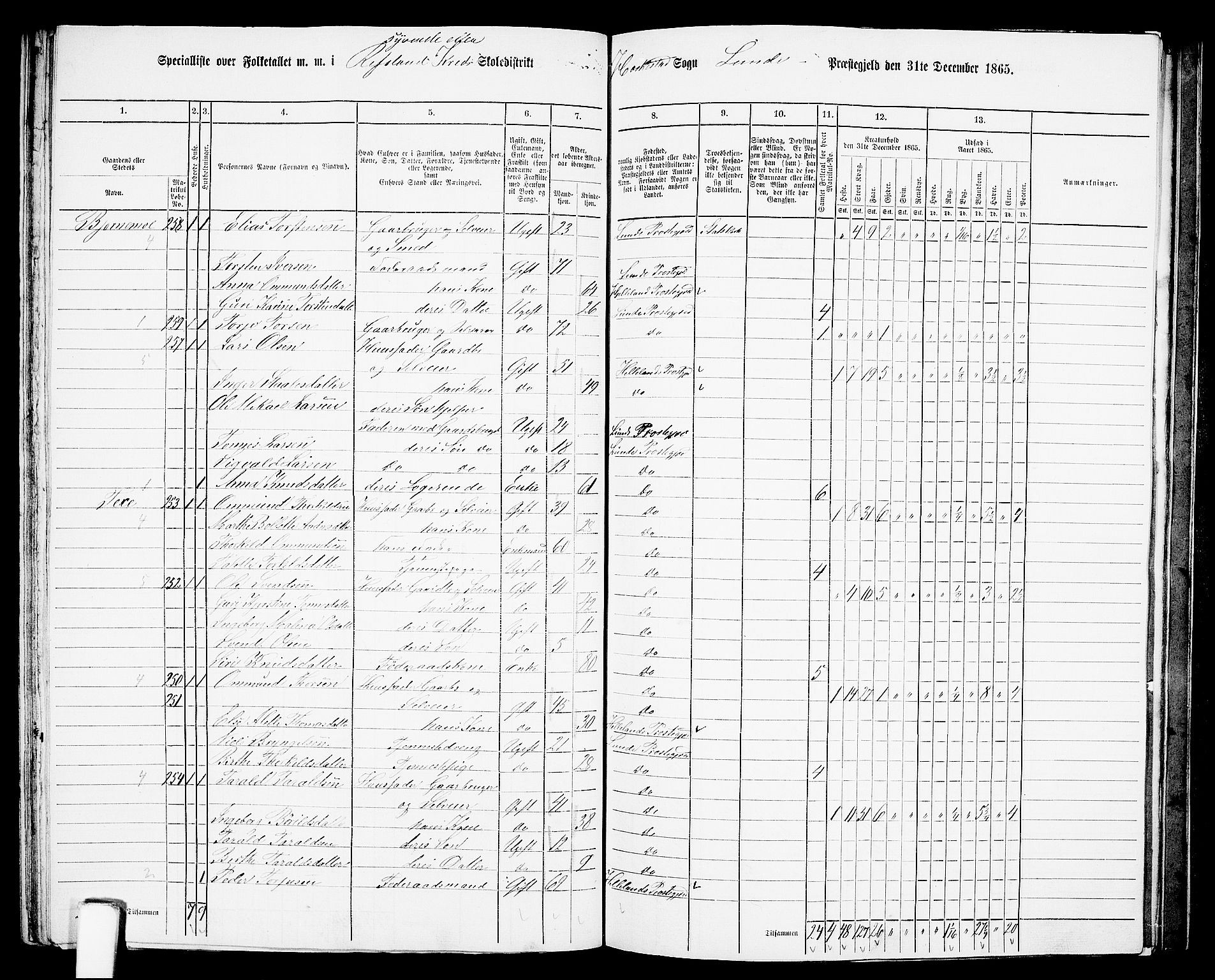 RA, 1865 census for Lund, 1865, p. 88