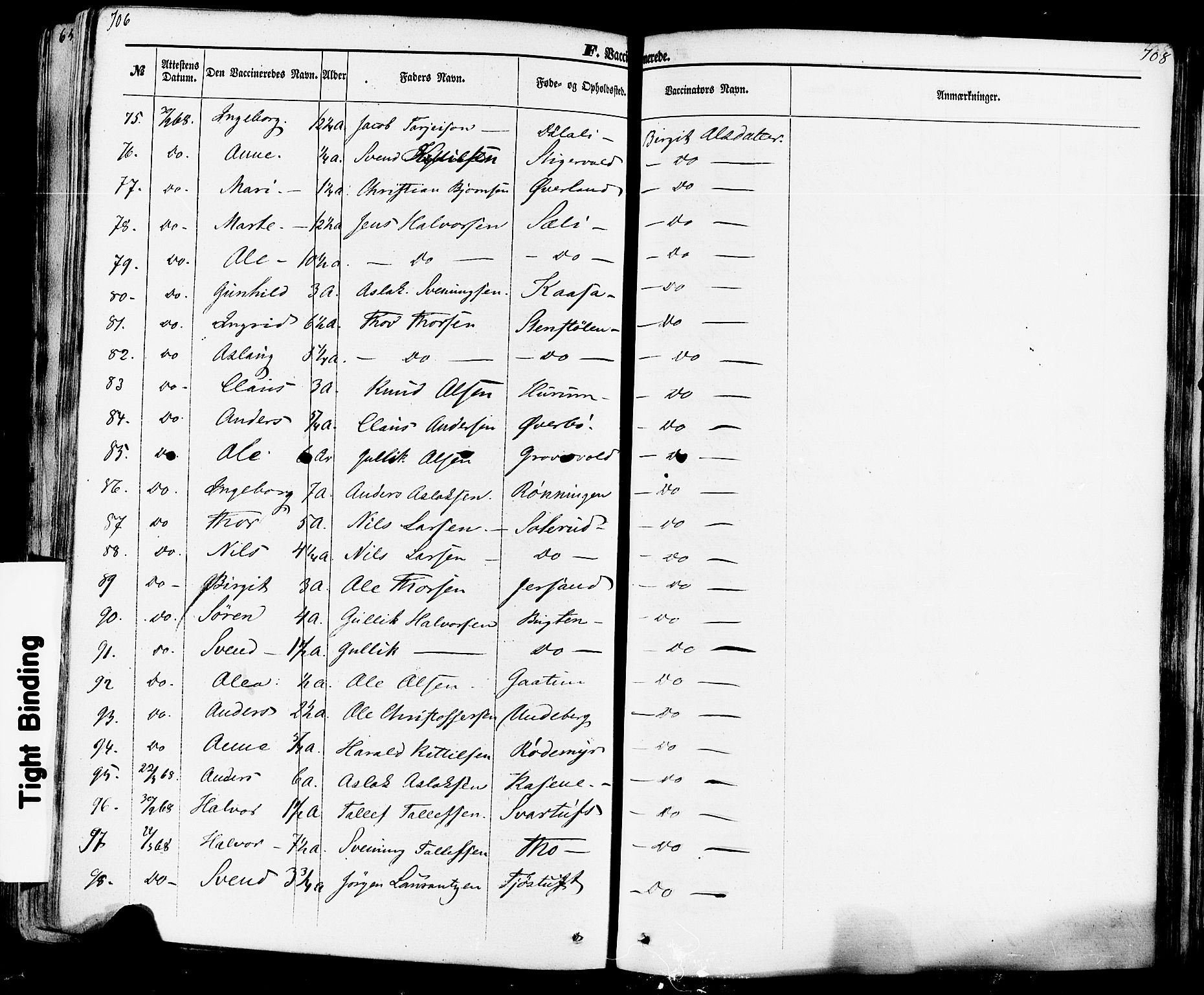 Seljord kirkebøker, AV/SAKO-A-20/F/Fa/L0013: Parish register (official) no. I 13, 1866-1876, p. 706-707