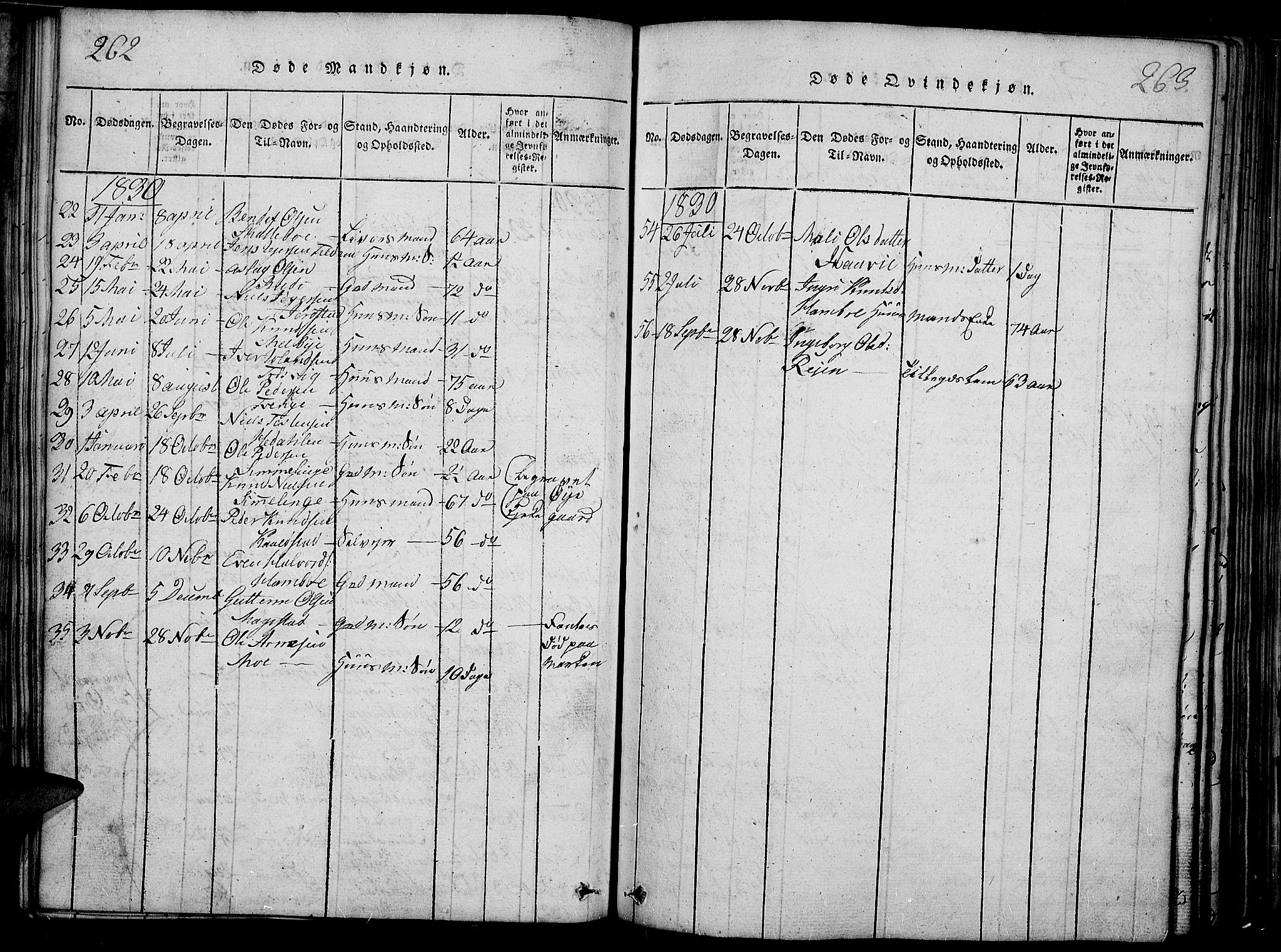 Slidre prestekontor, SAH/PREST-134/H/Ha/Haa/L0002: Parish register (official) no. 2, 1814-1830, p. 262-263