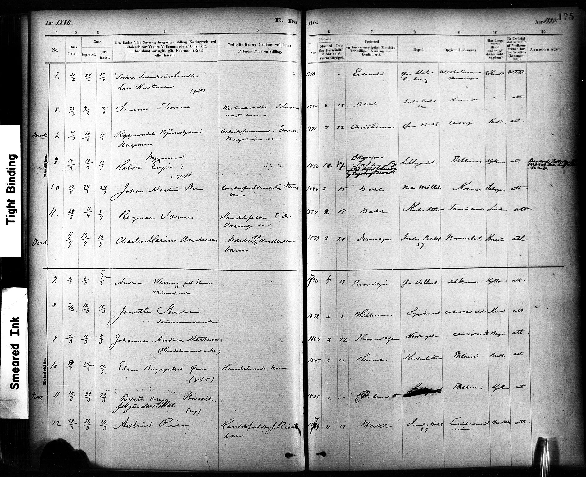Ministerialprotokoller, klokkerbøker og fødselsregistre - Sør-Trøndelag, SAT/A-1456/604/L0189: Parish register (official) no. 604A10, 1878-1892, p. 175
