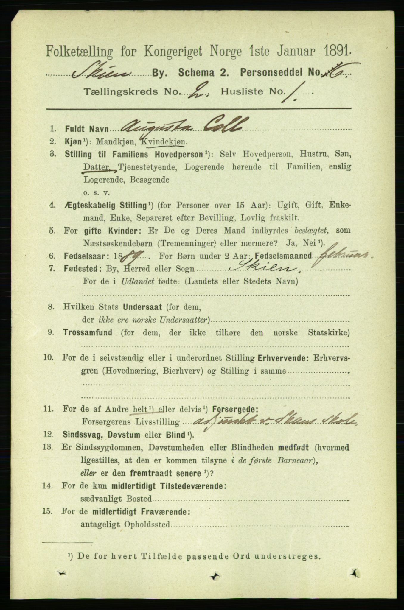 RA, 1891 census for 0806 Skien, 1891, p. 2314