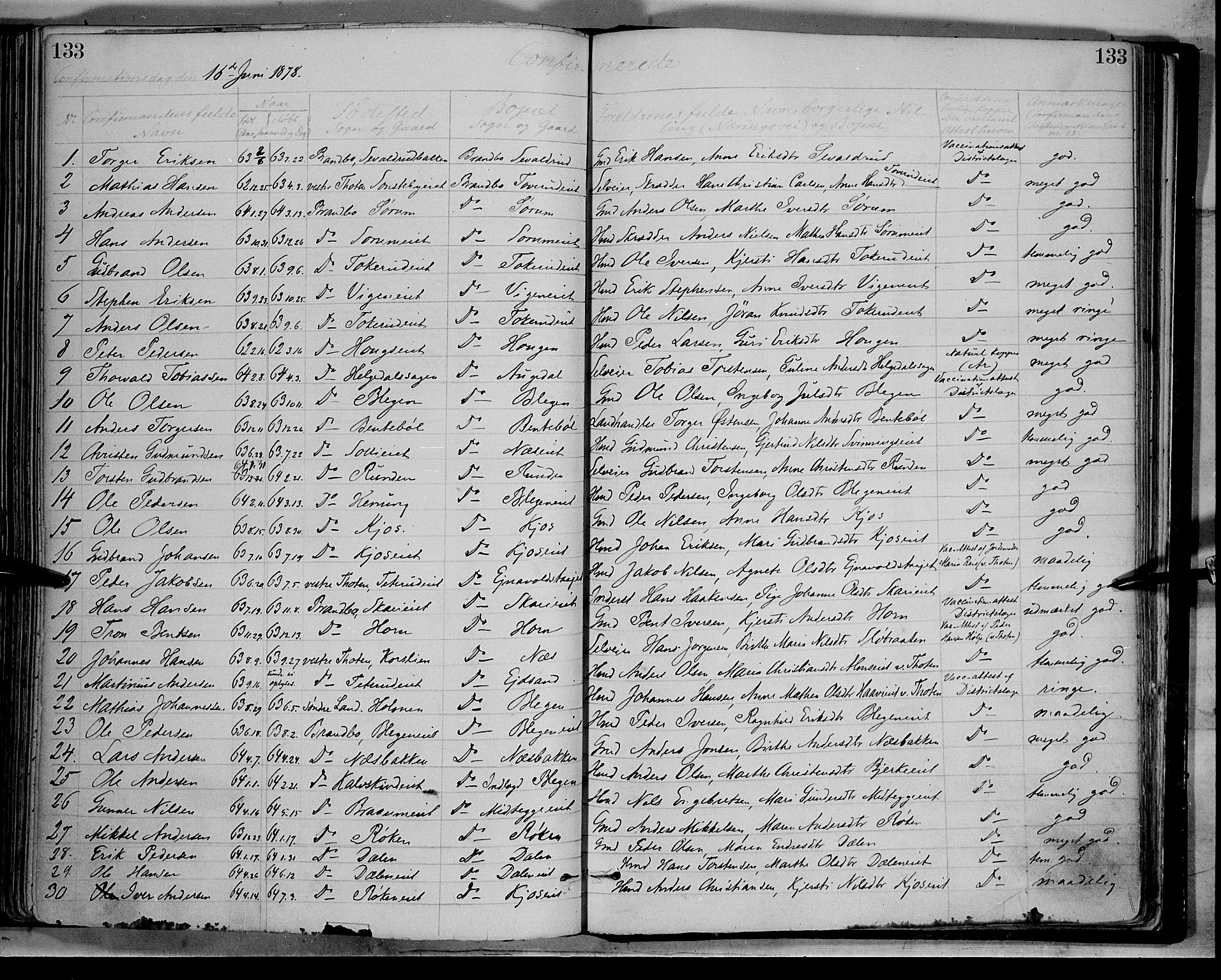 Gran prestekontor, SAH/PREST-112/H/Ha/Haa/L0013: Parish register (official) no. 13, 1875-1879, p. 133