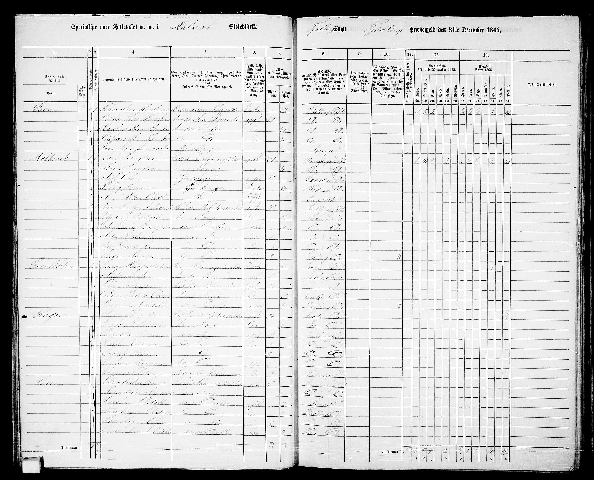 RA, 1865 census for Tjølling, 1865, p. 41