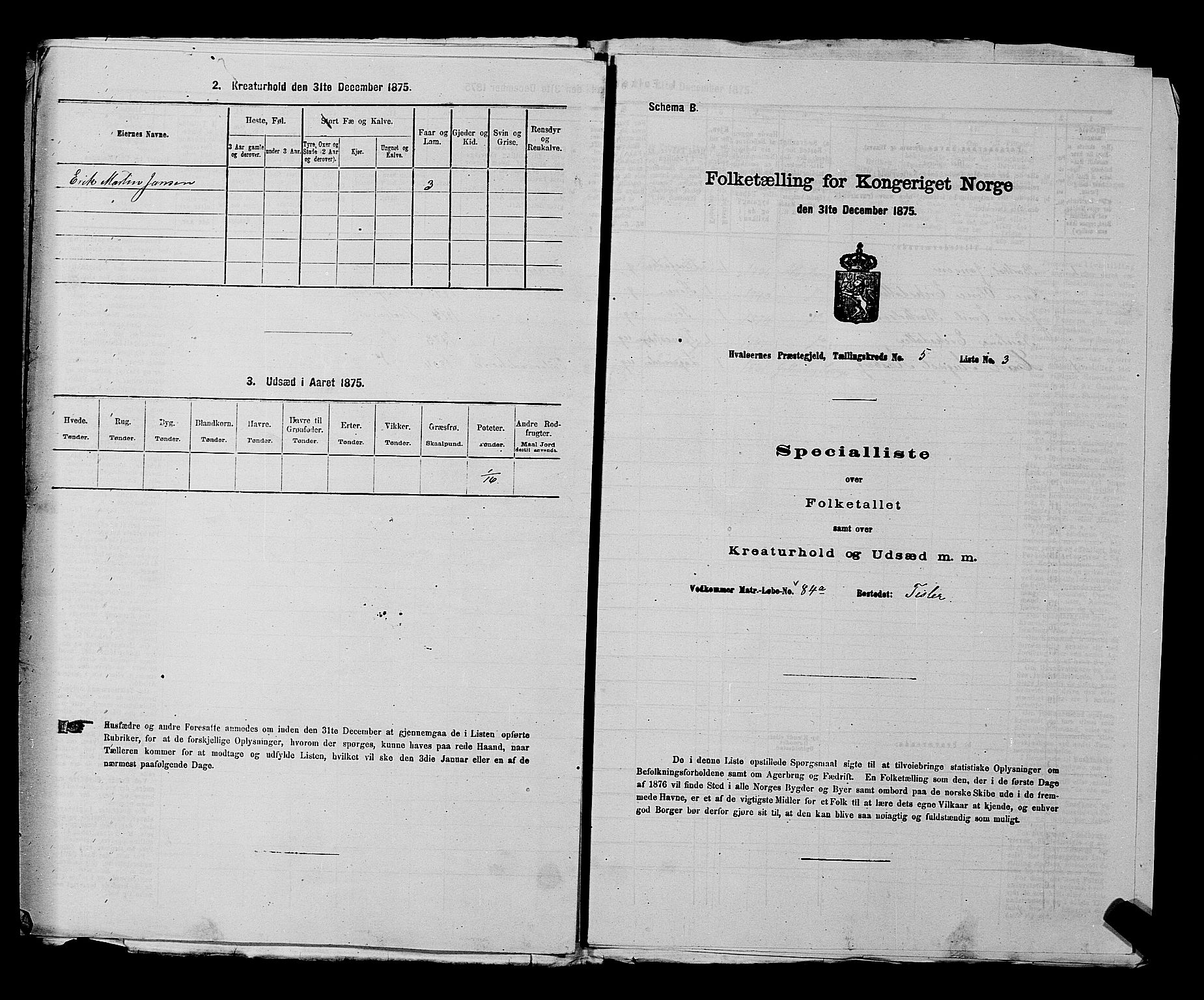 RA, 1875 census for 0111P Hvaler, 1875, p. 726