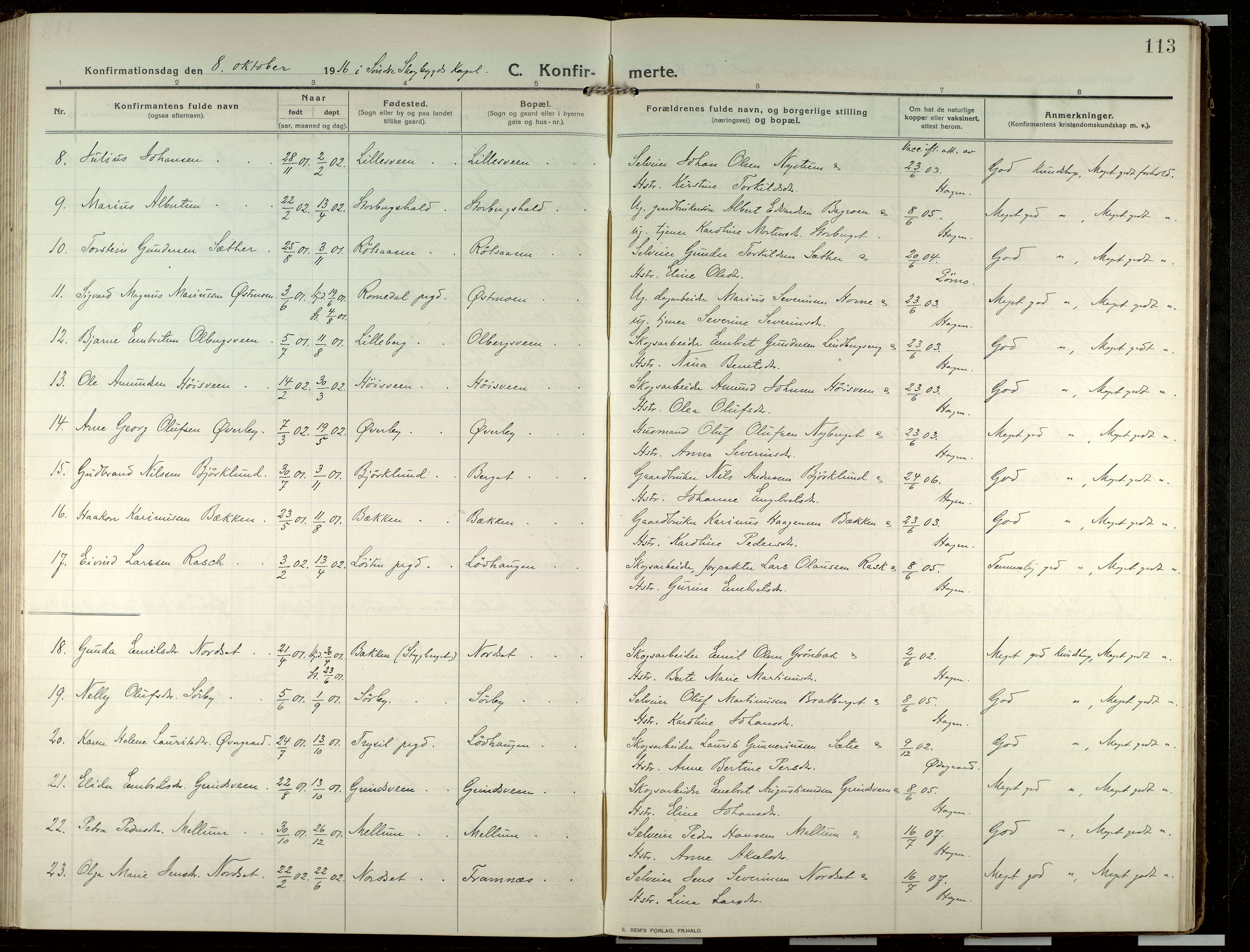 Elverum prestekontor, AV/SAH-PREST-044/H/Ha/Haa/L0022: Parish register (official) no. 22, 1913-1924, p. 113