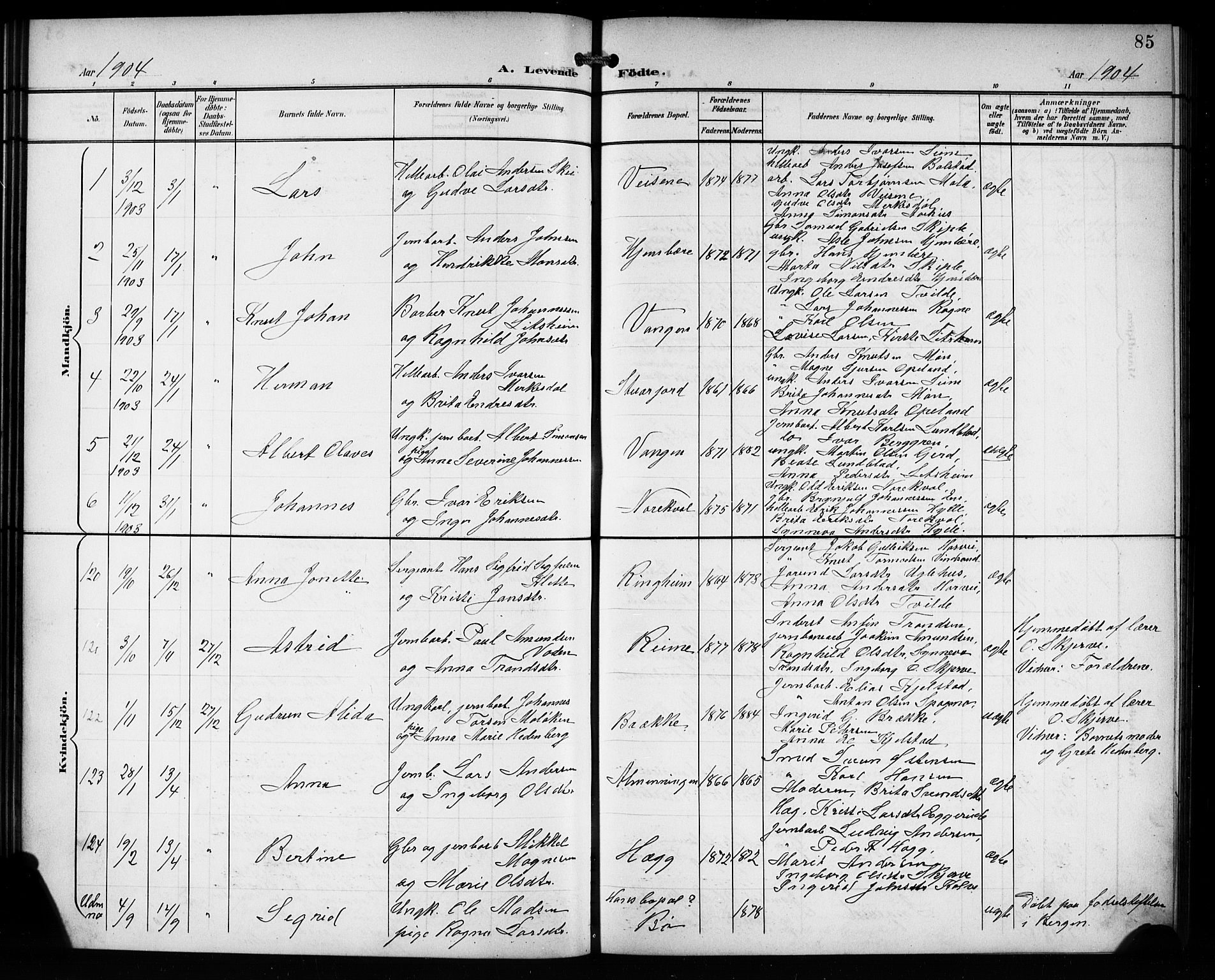 Voss sokneprestembete, AV/SAB-A-79001/H/Hab: Parish register (copy) no. C 2, 1900-1909, p. 85