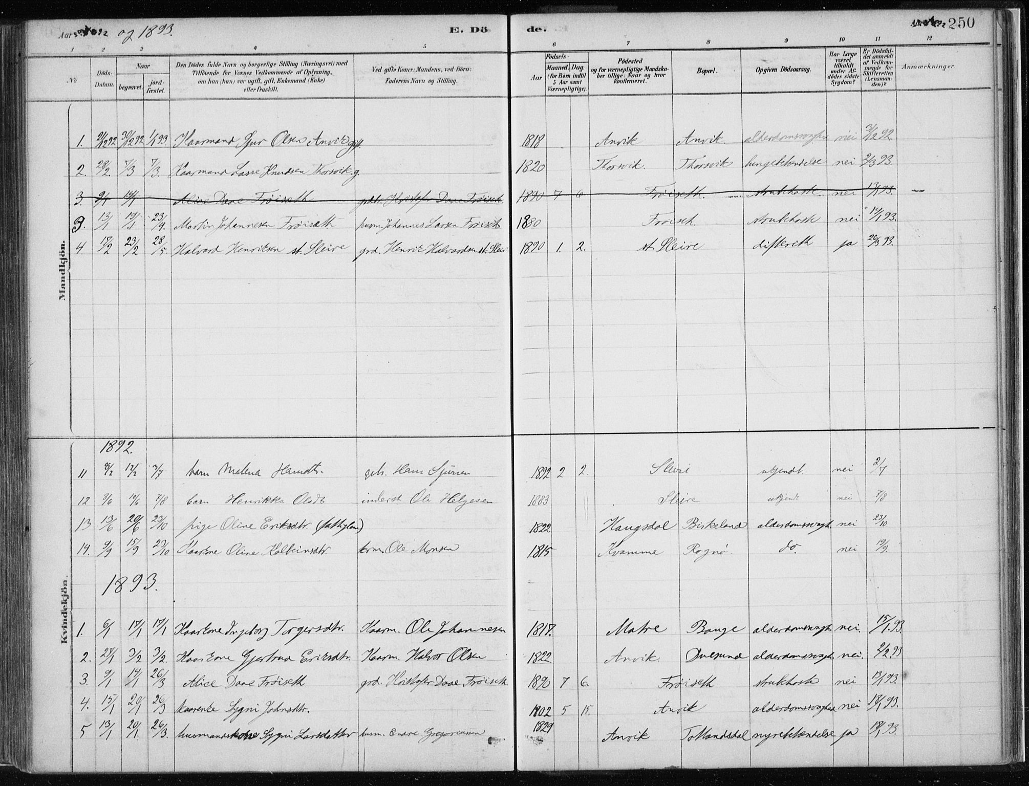 Masfjorden Sokneprestembete, SAB/A-77001: Parish register (official) no. B  1, 1876-1899, p. 250