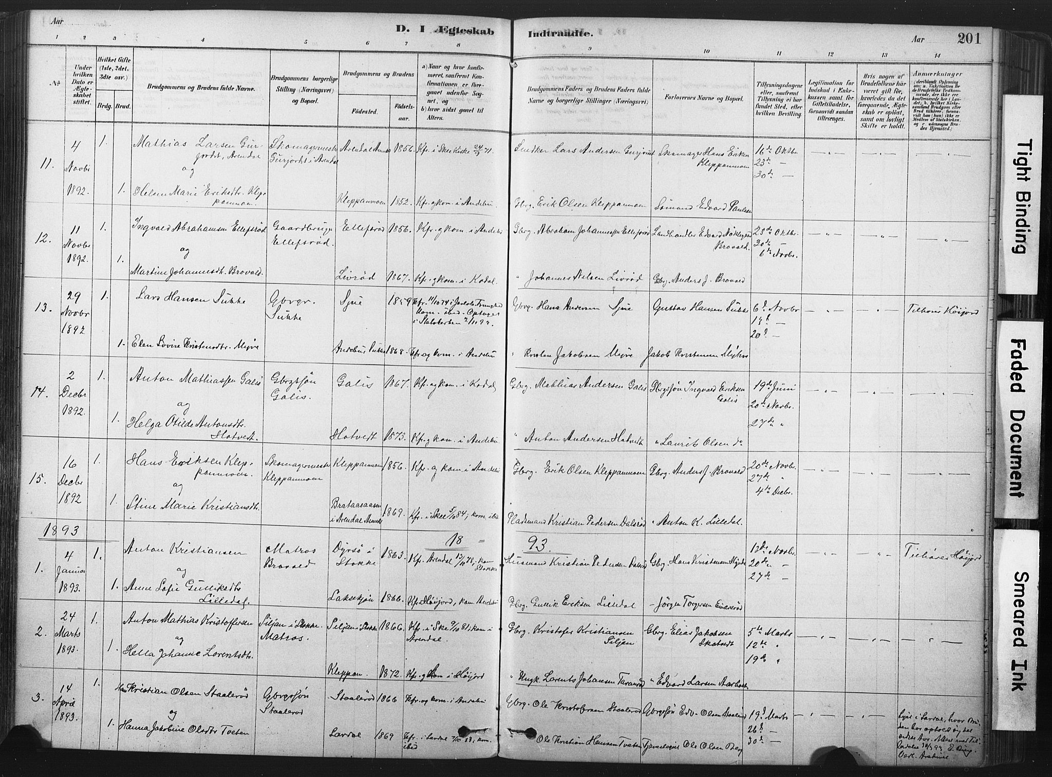 Andebu kirkebøker, SAKO/A-336/F/Fa/L0007: Parish register (official) no. 7, 1878-1899, p. 201