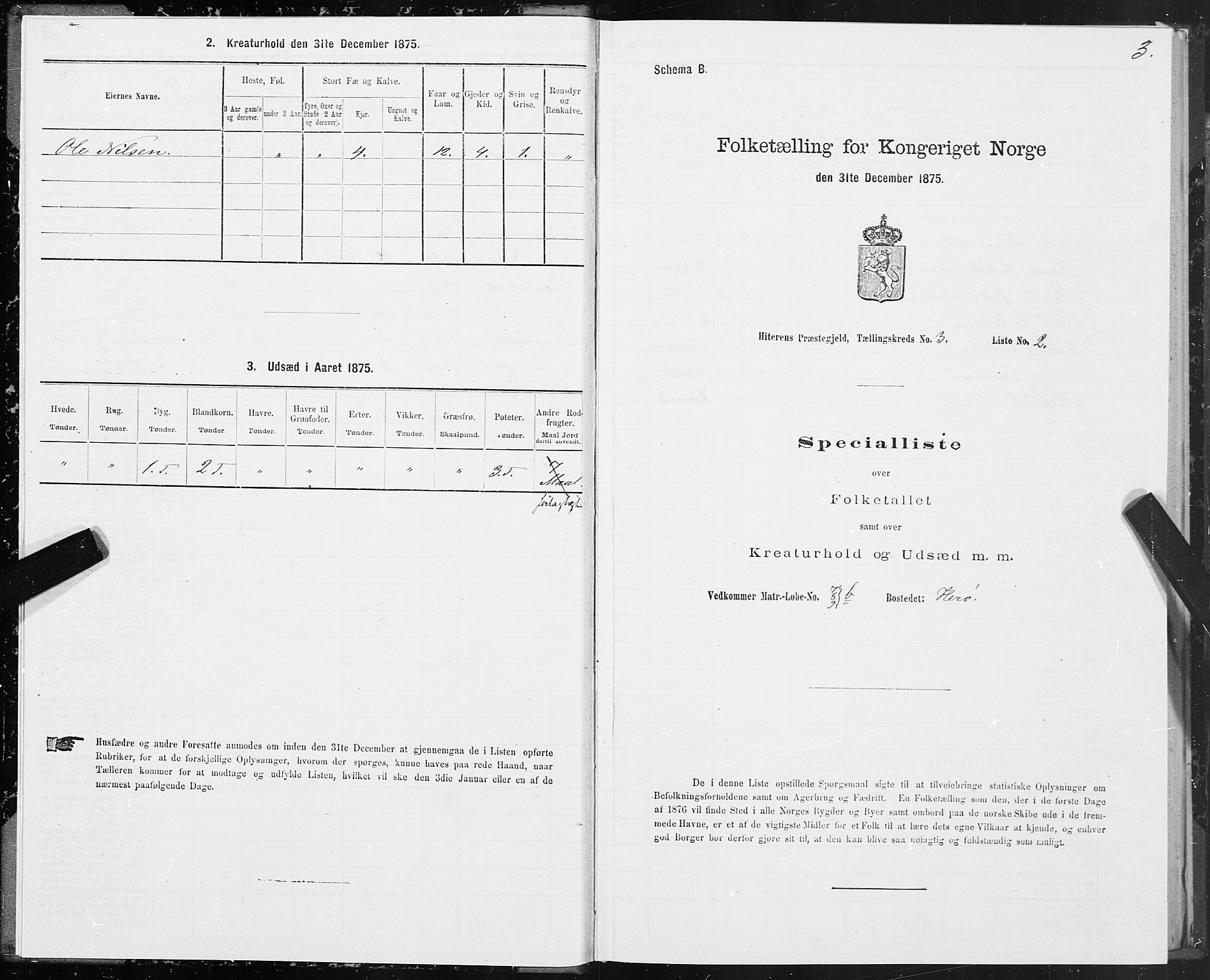 SAT, 1875 census for 1617P Hitra, 1875, p. 2003