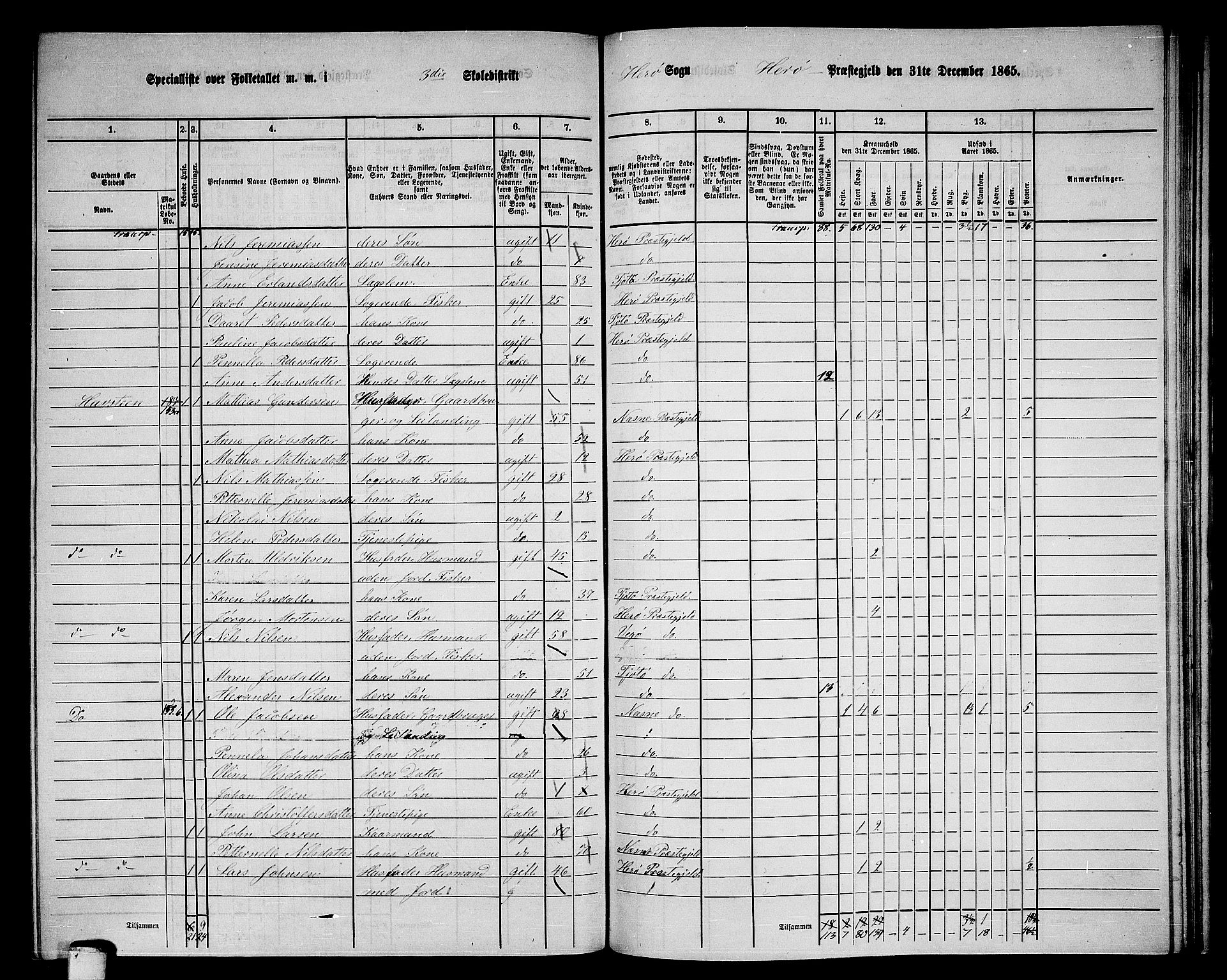 RA, 1865 census for Herøy, 1865, p. 53