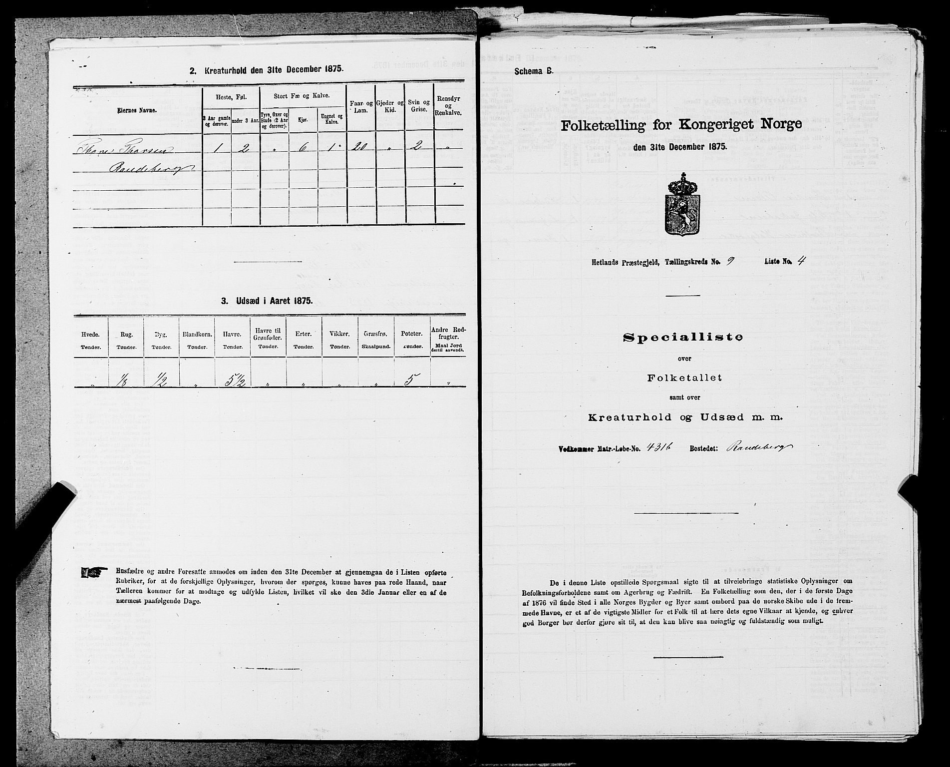 SAST, 1875 census for 1126P Hetland, 1875, p. 1803
