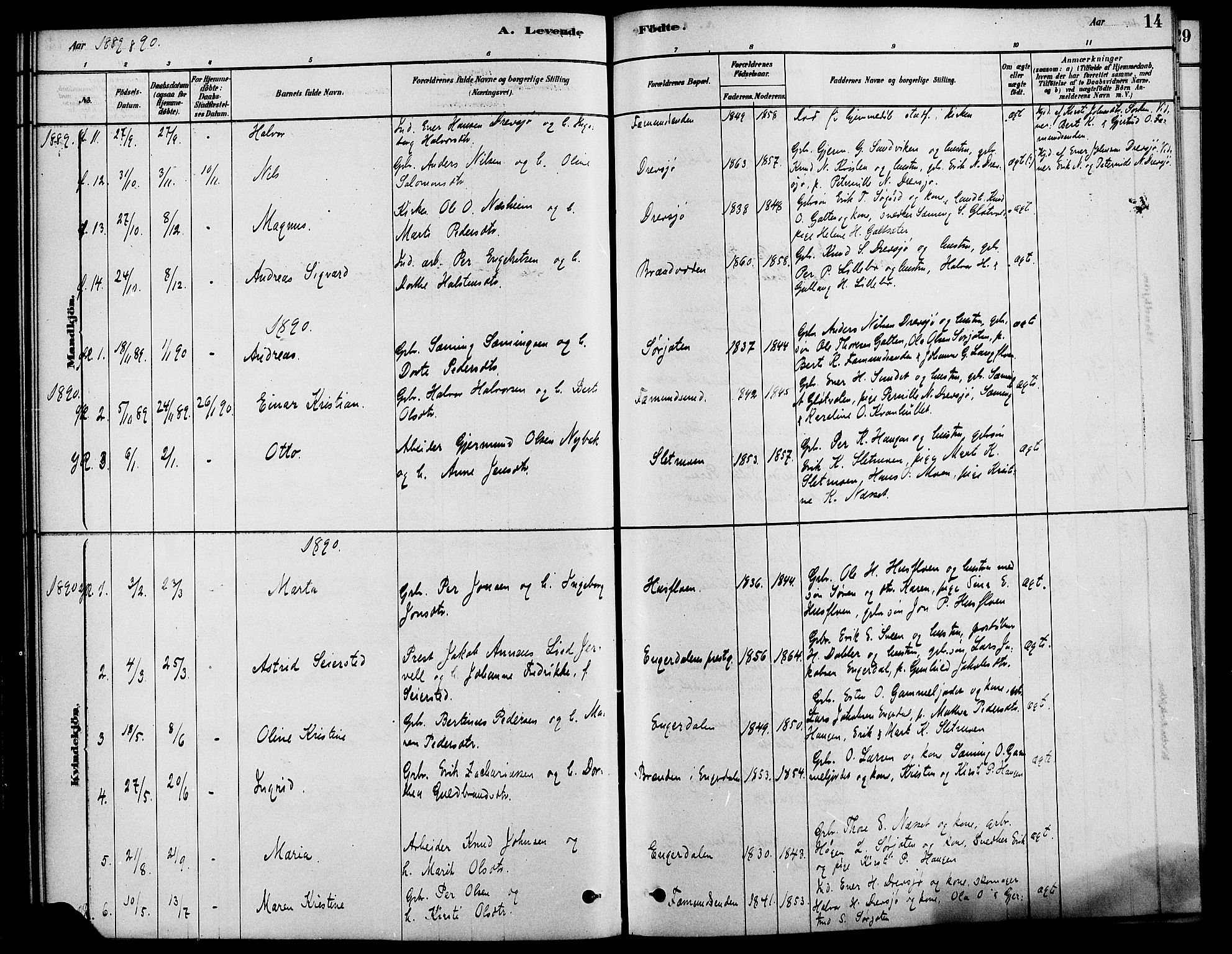 Rendalen prestekontor, AV/SAH-PREST-054/H/Ha/Haa/L0007: Parish register (official) no. 7, 1878-1898, p. 14