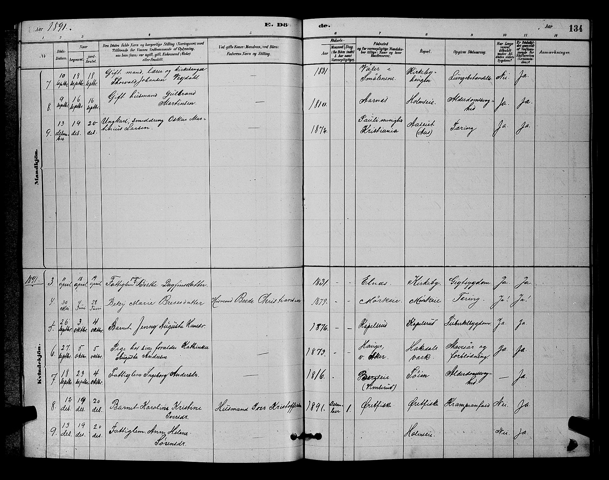Nittedal prestekontor Kirkebøker, SAO/A-10365a/G/Gb/L0002: Parish register (copy) no. II 2, 1879-1901, p. 134