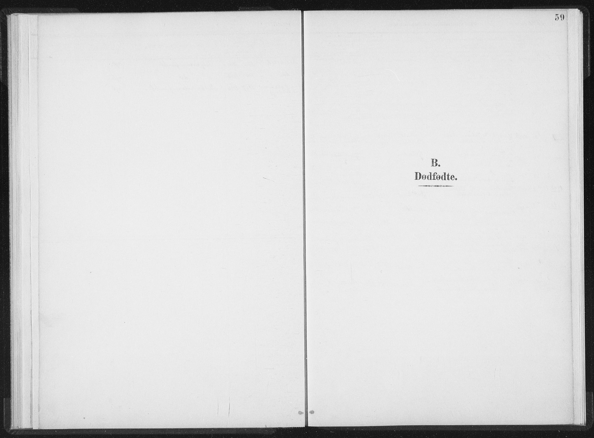 Ministerialprotokoller, klokkerbøker og fødselsregistre - Nord-Trøndelag, AV/SAT-A-1458/724/L0263: Parish register (official) no. 724A01, 1891-1907, p. 59