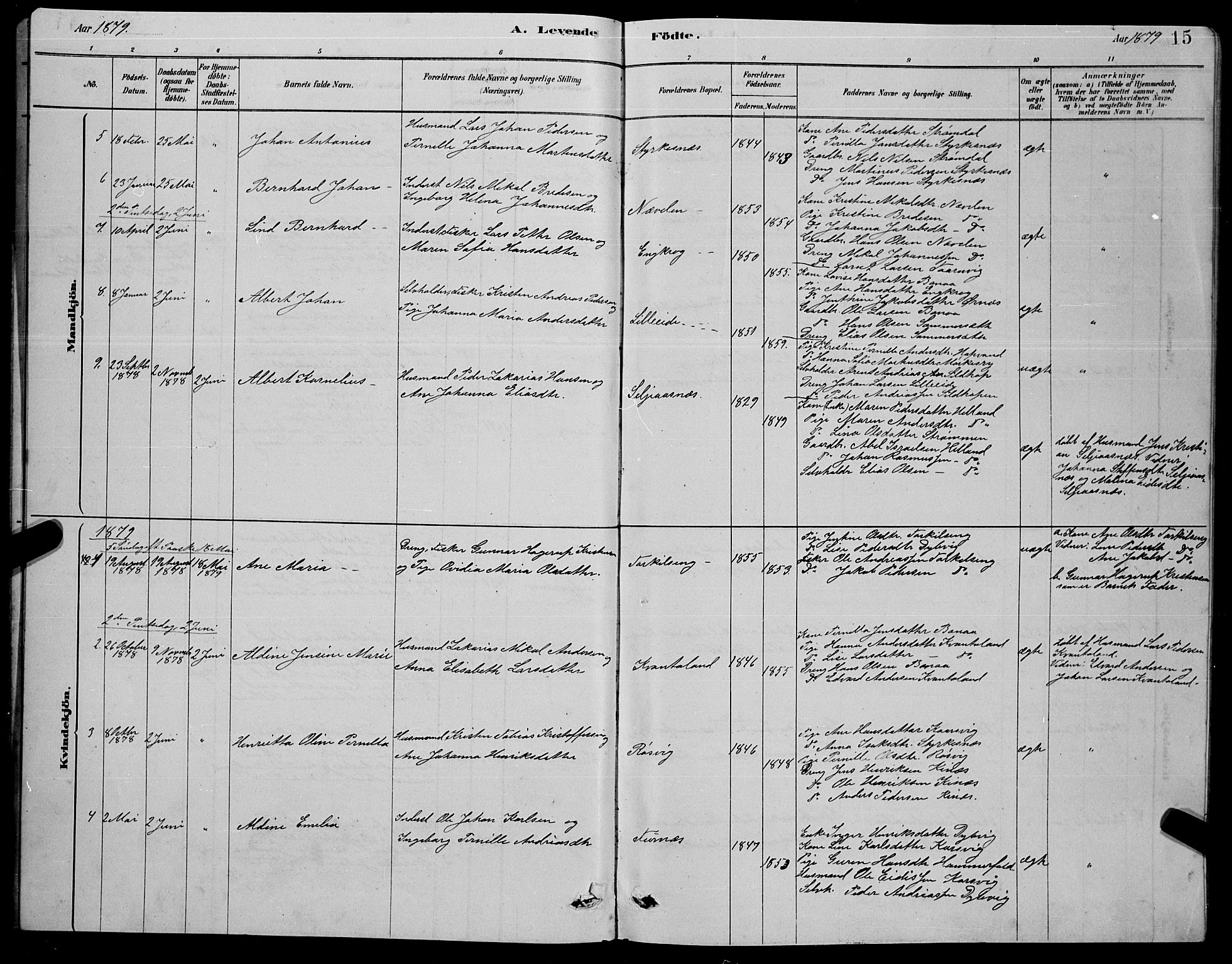 Ministerialprotokoller, klokkerbøker og fødselsregistre - Nordland, AV/SAT-A-1459/853/L0776: Parish register (copy) no. 853C04, 1878-1889, p. 15