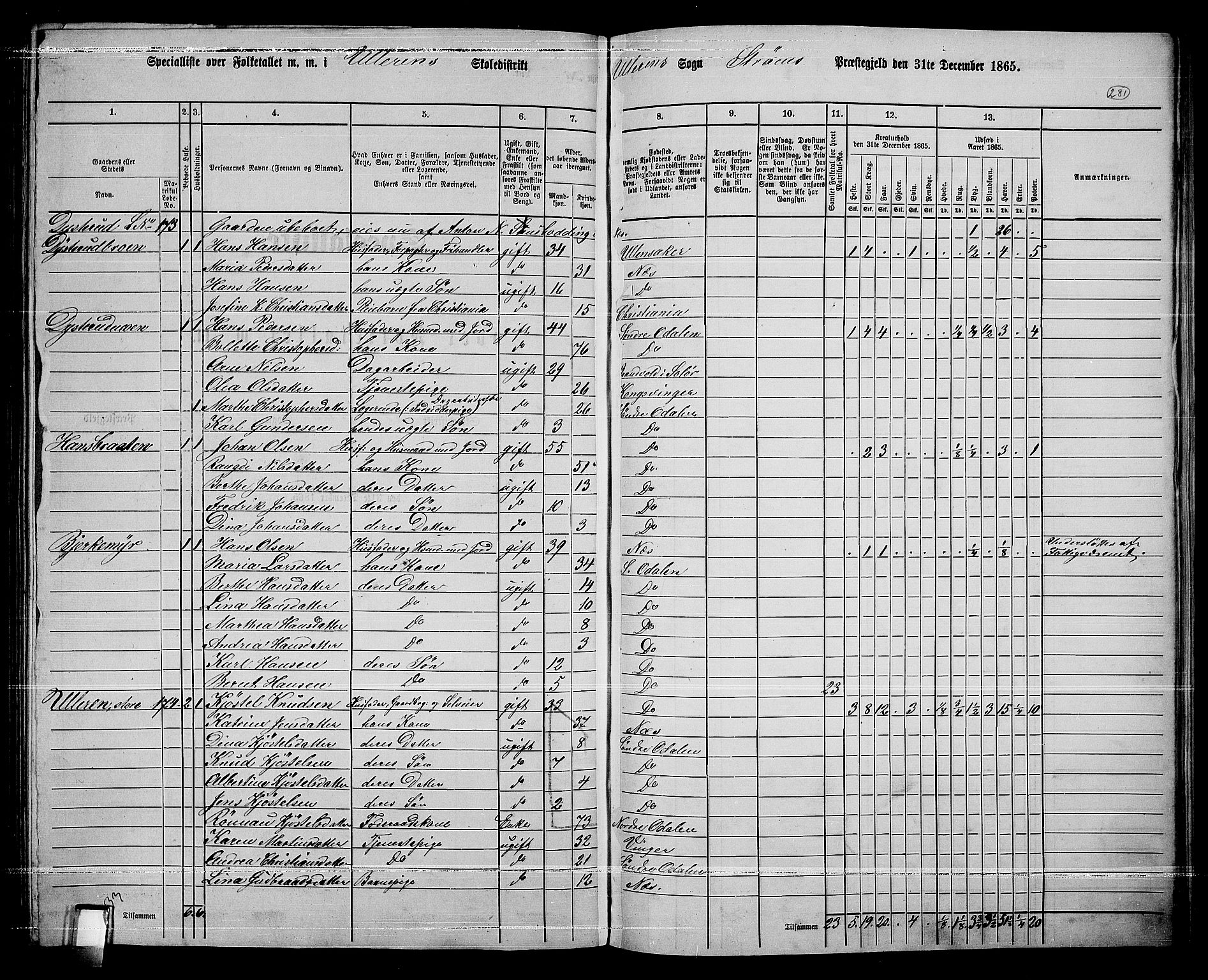 RA, 1865 census for Sør-Odal, 1865, p. 245