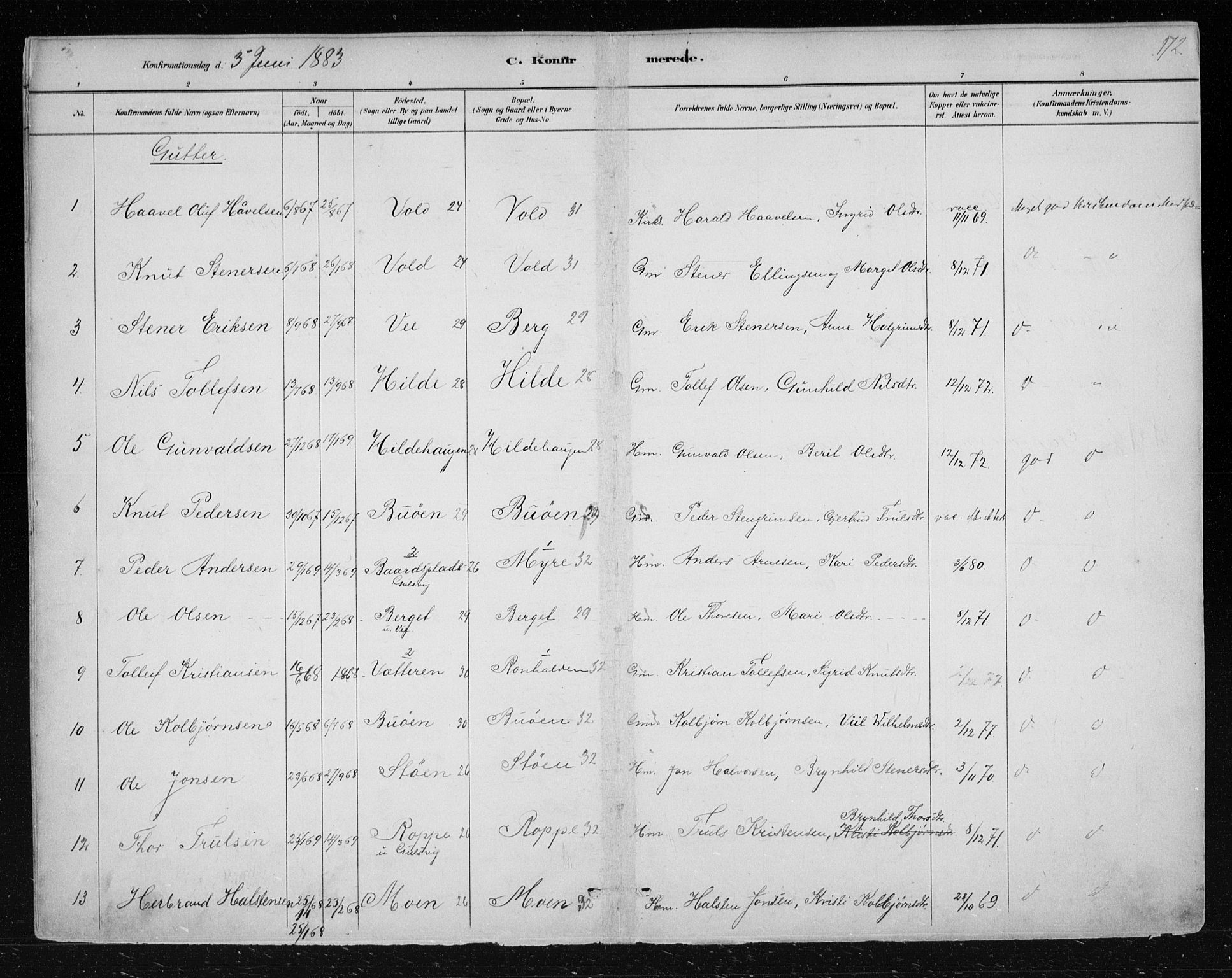 Nes kirkebøker, SAKO/A-236/F/Fa/L0012: Parish register (official) no. 12, 1881-1917, p. 172