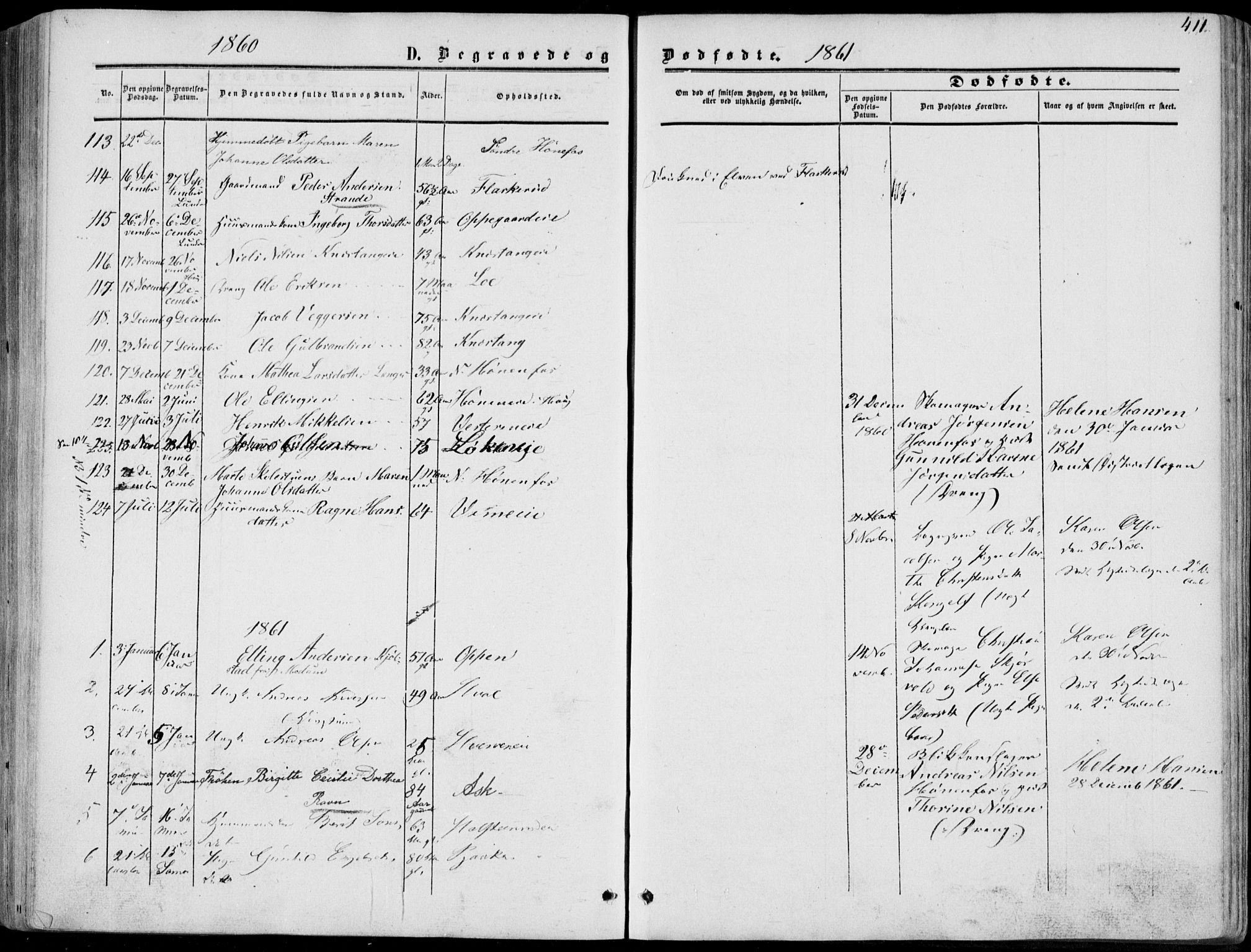 Norderhov kirkebøker, AV/SAKO-A-237/F/Fa/L0012: Parish register (official) no. 12, 1856-1865, p. 411