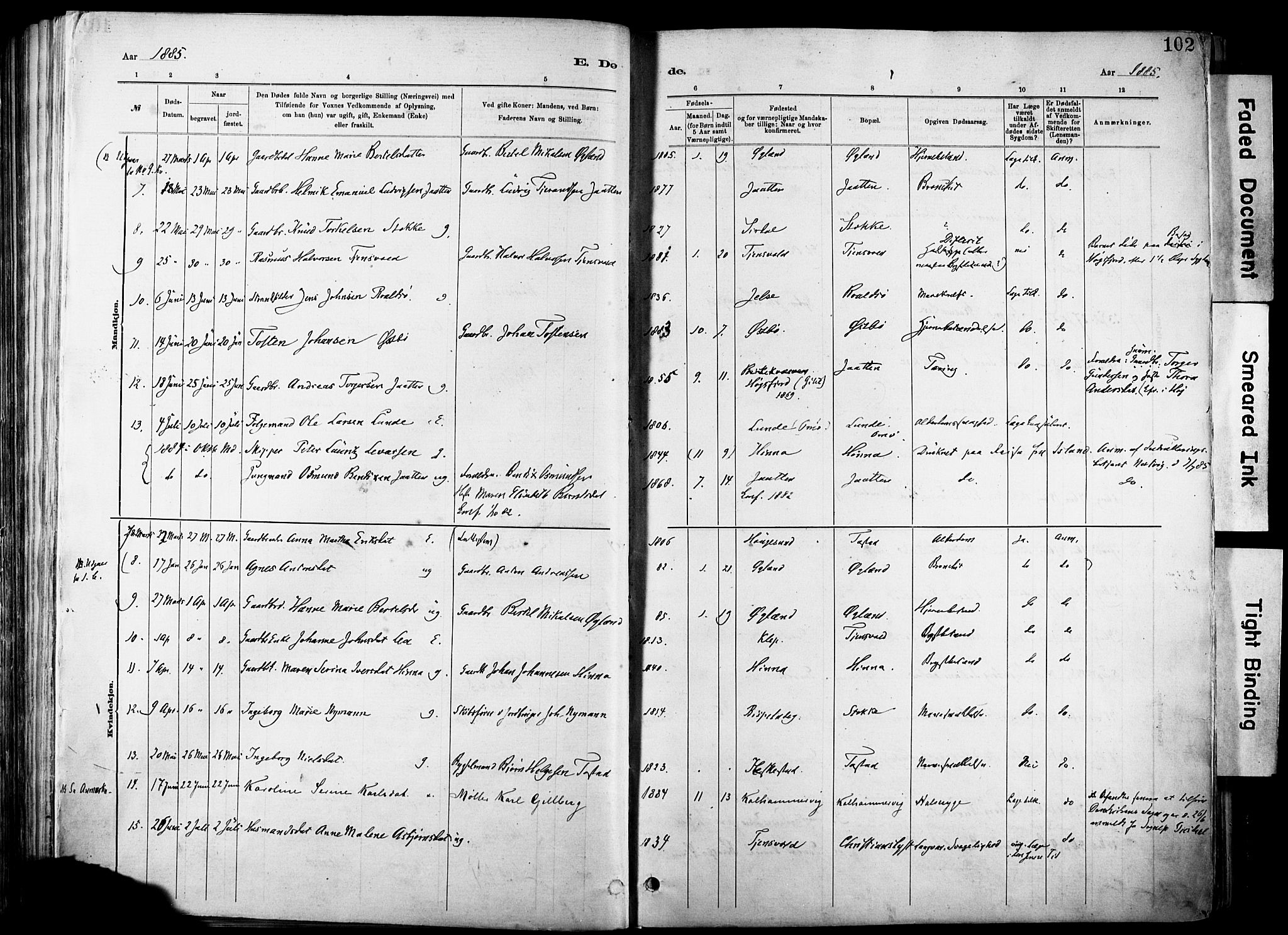 Hetland sokneprestkontor, AV/SAST-A-101826/30/30BA/L0012: Parish register (official) no. A 12, 1882-1912, p. 102