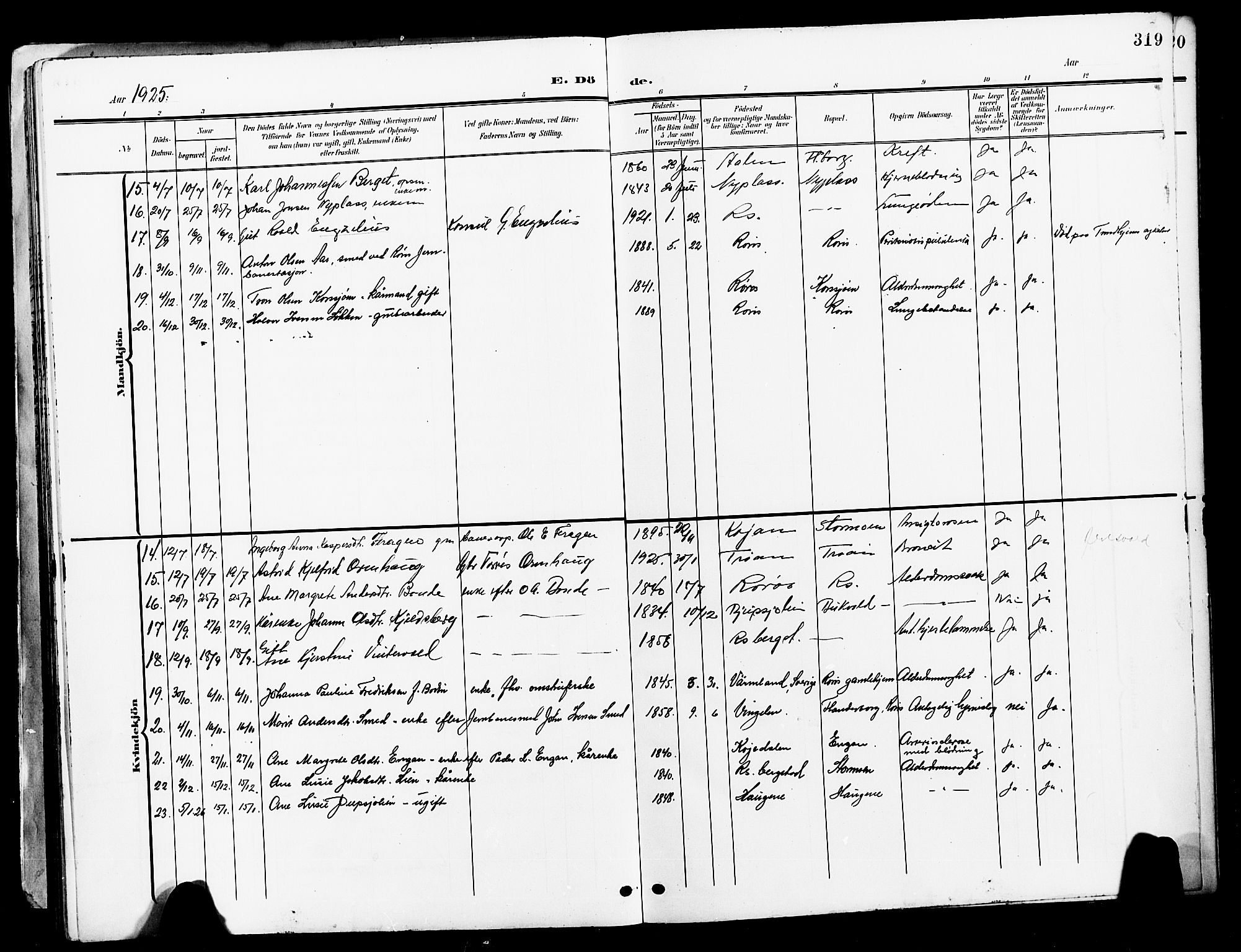 Ministerialprotokoller, klokkerbøker og fødselsregistre - Sør-Trøndelag, AV/SAT-A-1456/681/L0942: Parish register (copy) no. 681C06, 1906-1925, p. 319