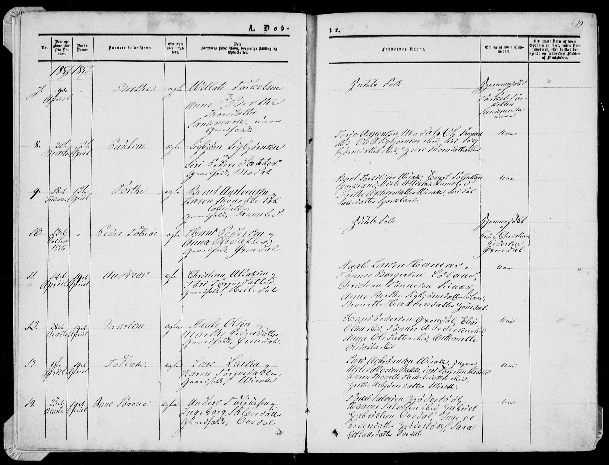 Bakke sokneprestkontor, AV/SAK-1111-0002/F/Fa/Faa/L0006: Parish register (official) no. A 6, 1855-1877, p. 19