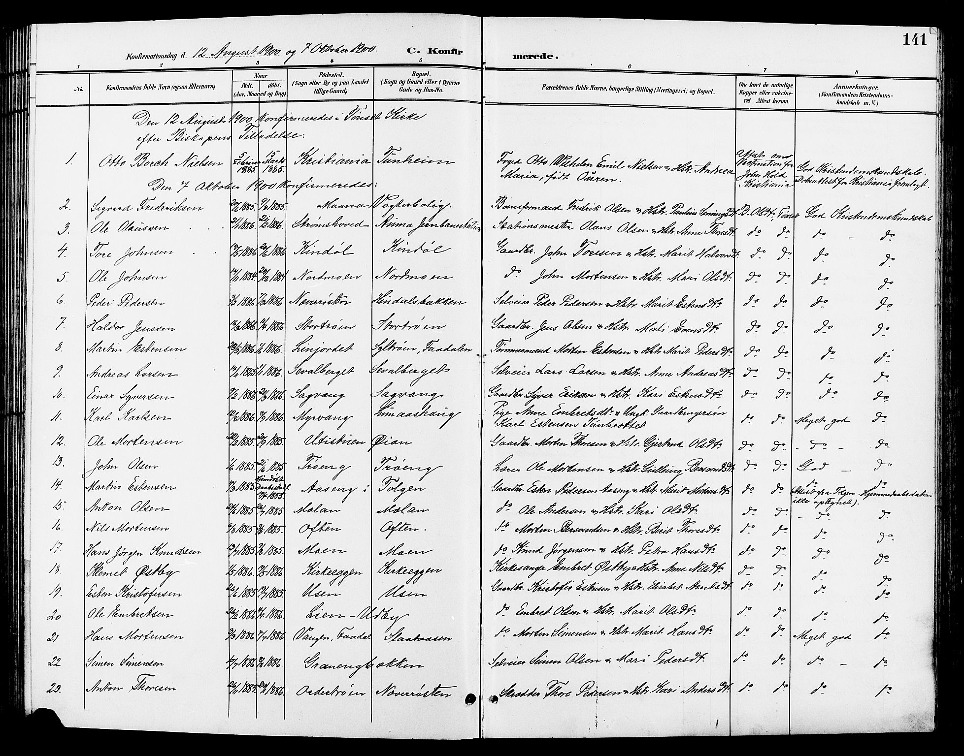 Tynset prestekontor, AV/SAH-PREST-058/H/Ha/Hab/L0009: Parish register (copy) no. 9, 1900-1914, p. 141