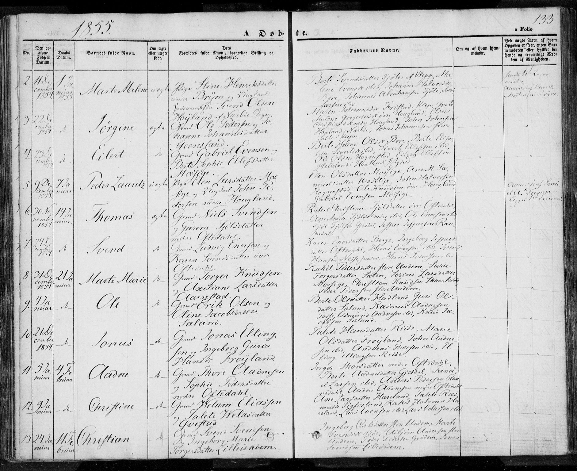 Lye sokneprestkontor, SAST/A-101794/001/30BA/L0005: Parish register (official) no. A 5.1, 1842-1855, p. 133