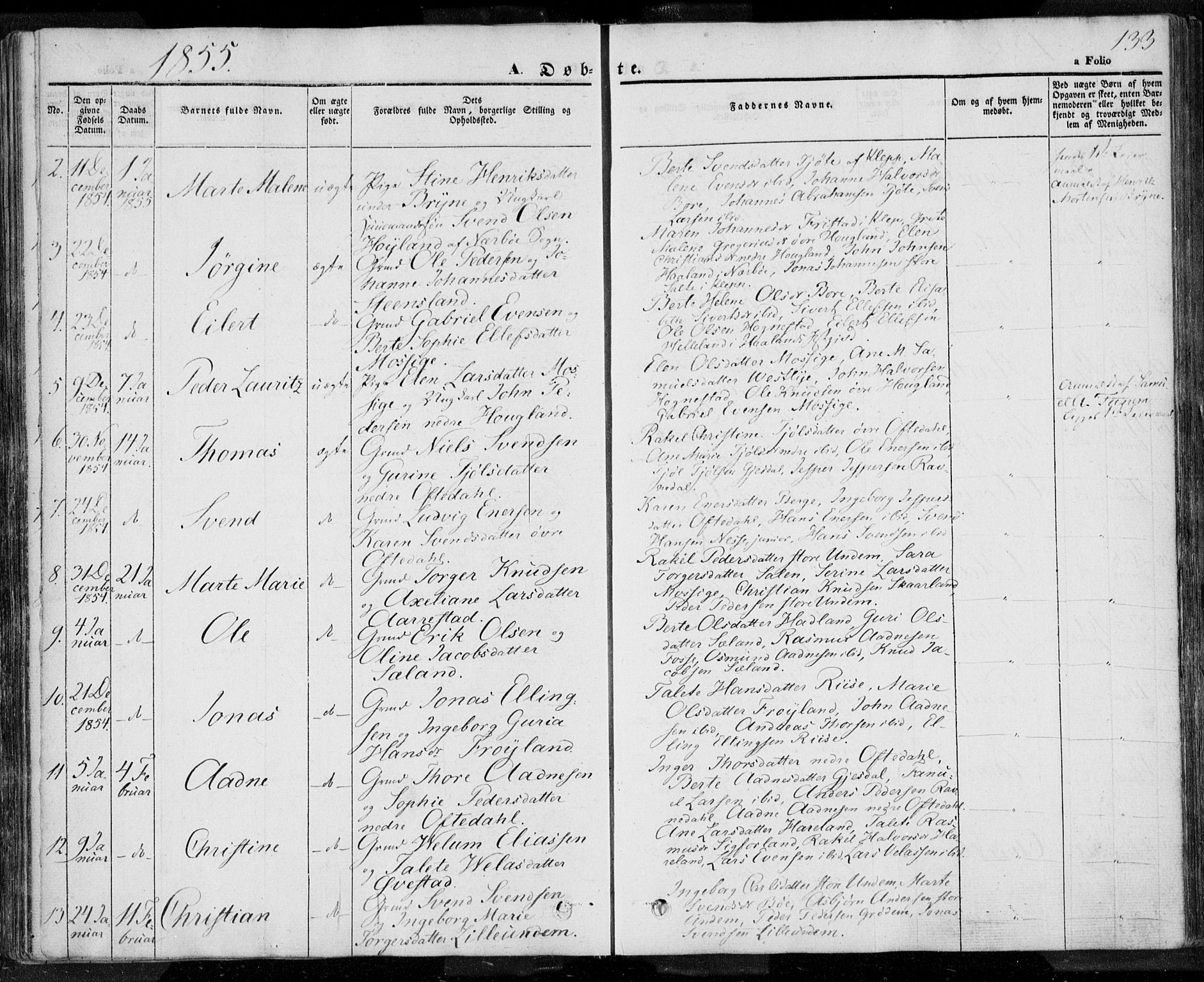 Lye sokneprestkontor, AV/SAST-A-101794/001/30BA/L0005: Parish register (official) no. A 5.1, 1842-1855, p. 133