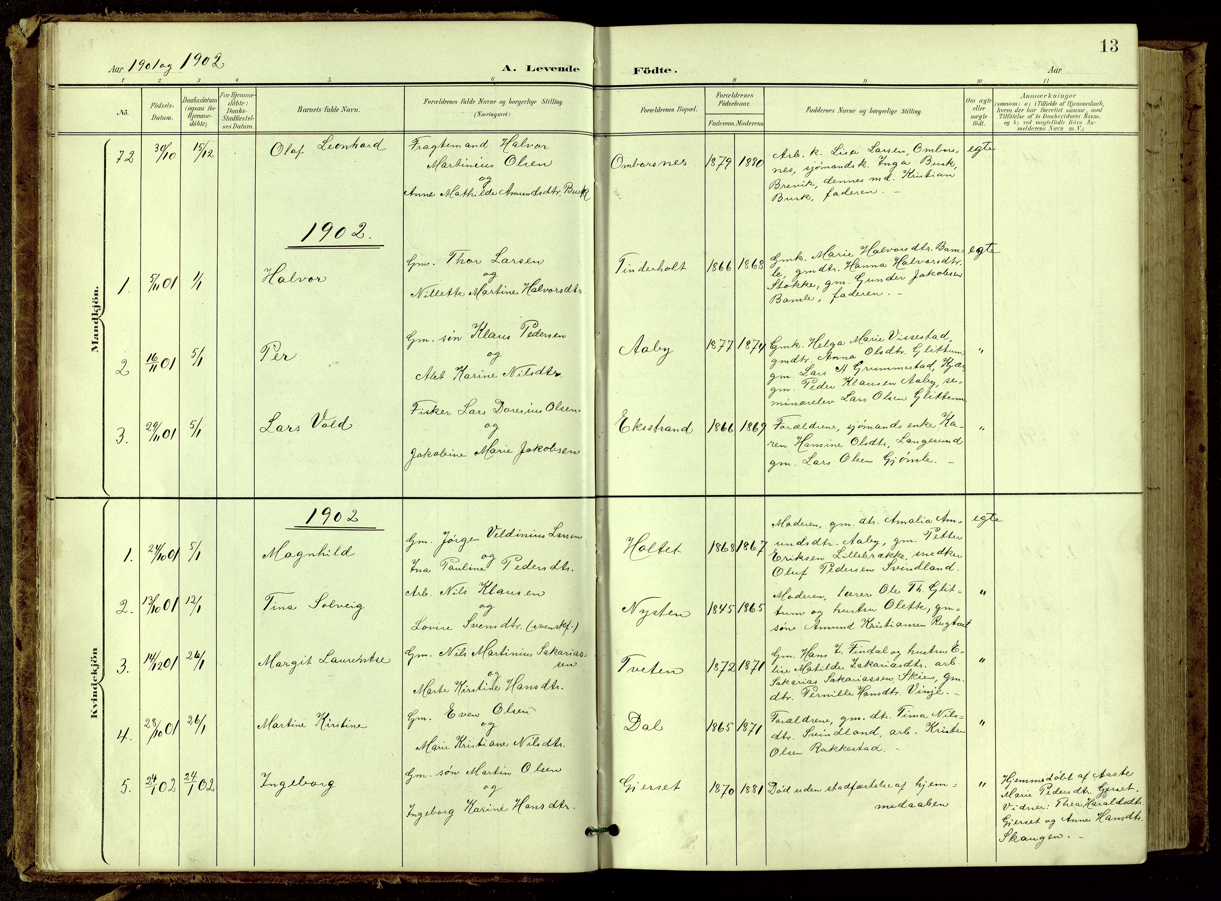 Bamble kirkebøker, SAKO/A-253/G/Ga/L0010: Parish register (copy) no. I 10, 1901-1919, p. 13
