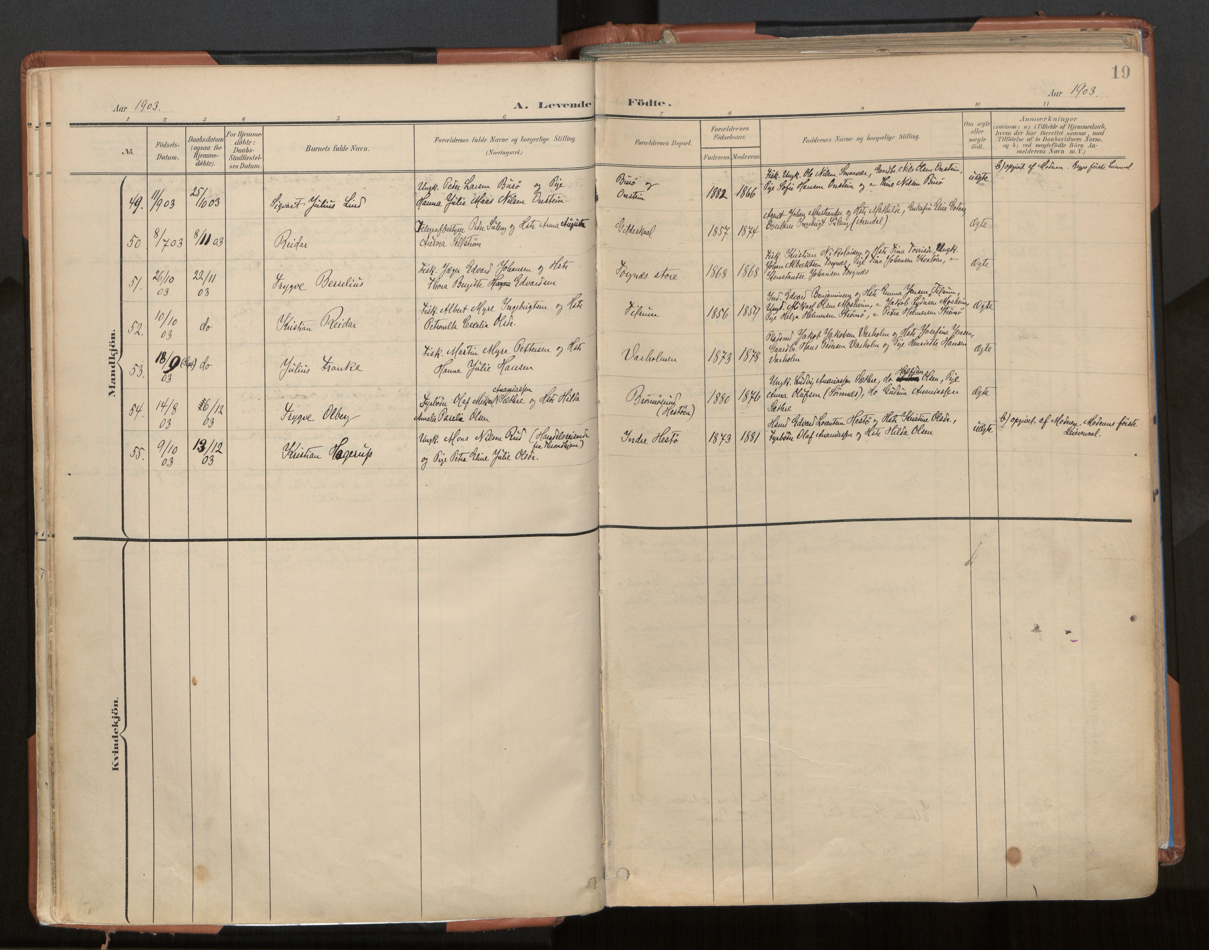 Ministerialprotokoller, klokkerbøker og fødselsregistre - Nordland, SAT/A-1459/813/L0201: Parish register (official) no. 813A11, 1901-1918, p. 19