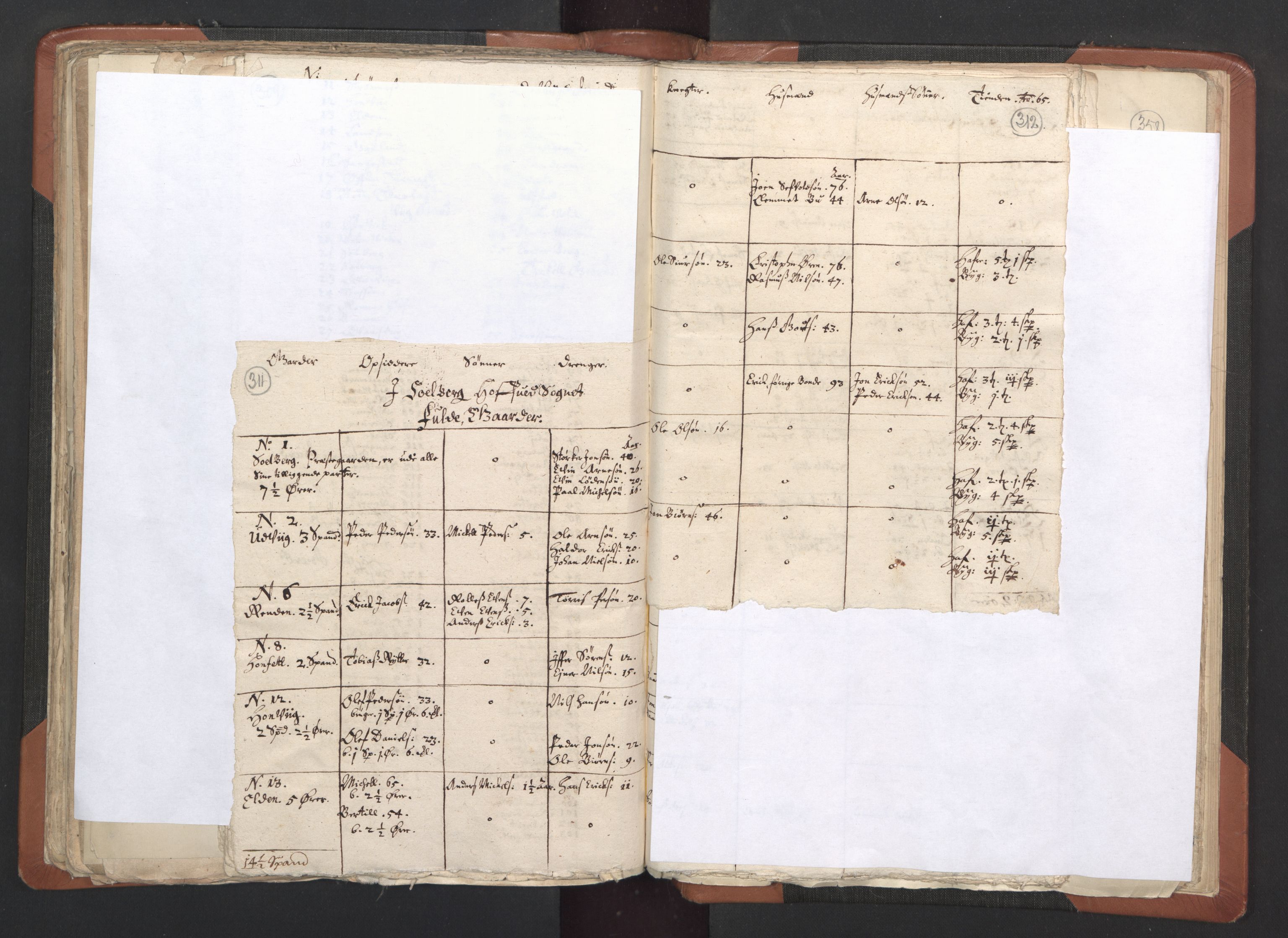 RA, Vicar's Census 1664-1666, no. 33: Innherad deanery, 1664-1666, p. 311-312
