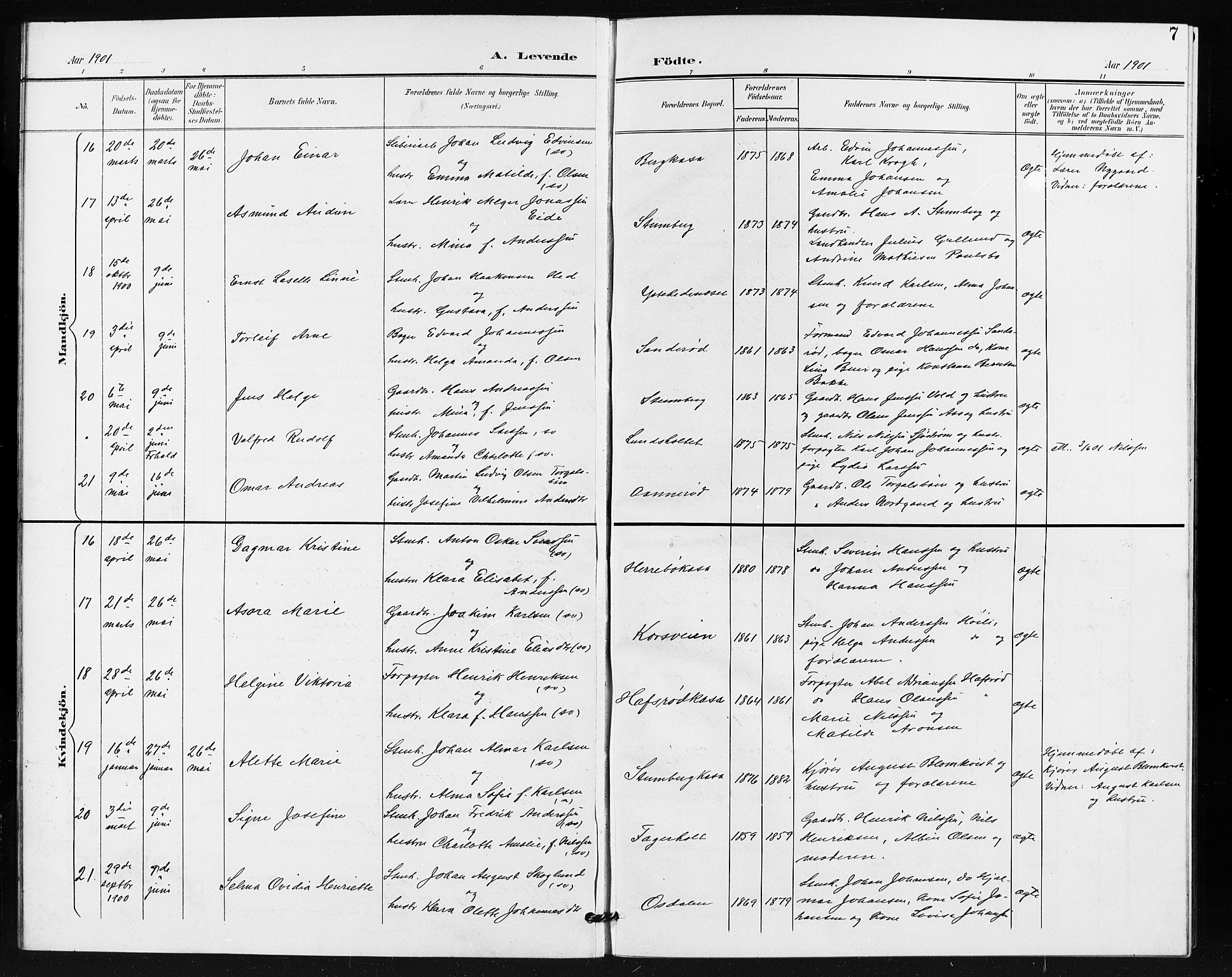 Idd prestekontor Kirkebøker, SAO/A-10911/G/Gb/L0001: Parish register (copy) no. II 1, 1901-1907, p. 7