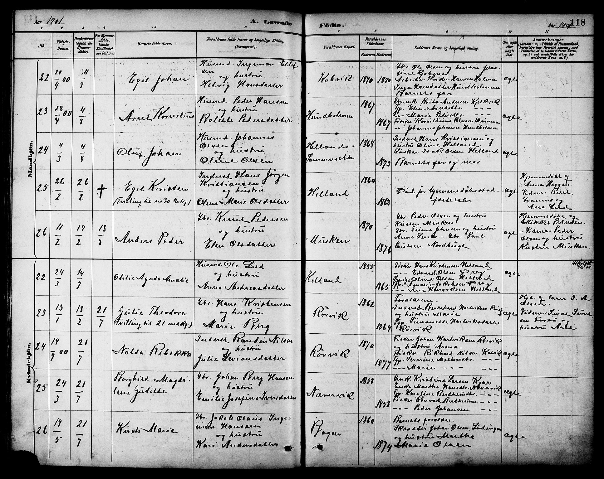 Ministerialprotokoller, klokkerbøker og fødselsregistre - Nordland, AV/SAT-A-1459/861/L0869: Parish register (official) no. 861A04, 1889-1903, p. 118