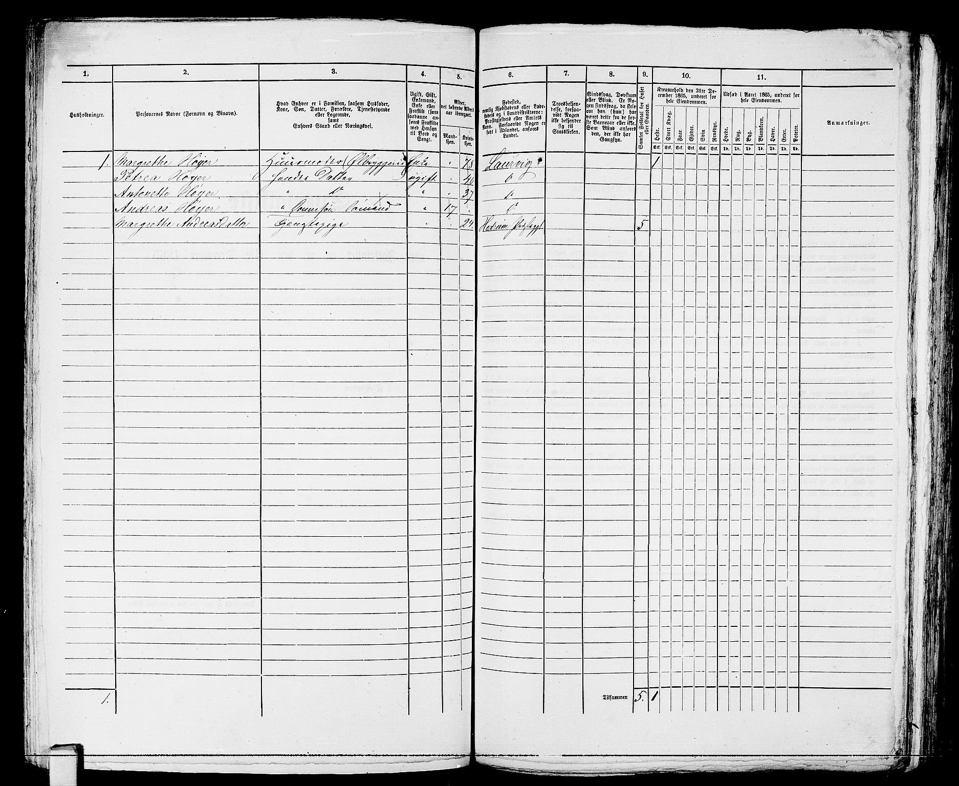 RA, 1865 census for Larvik, 1865, p. 248