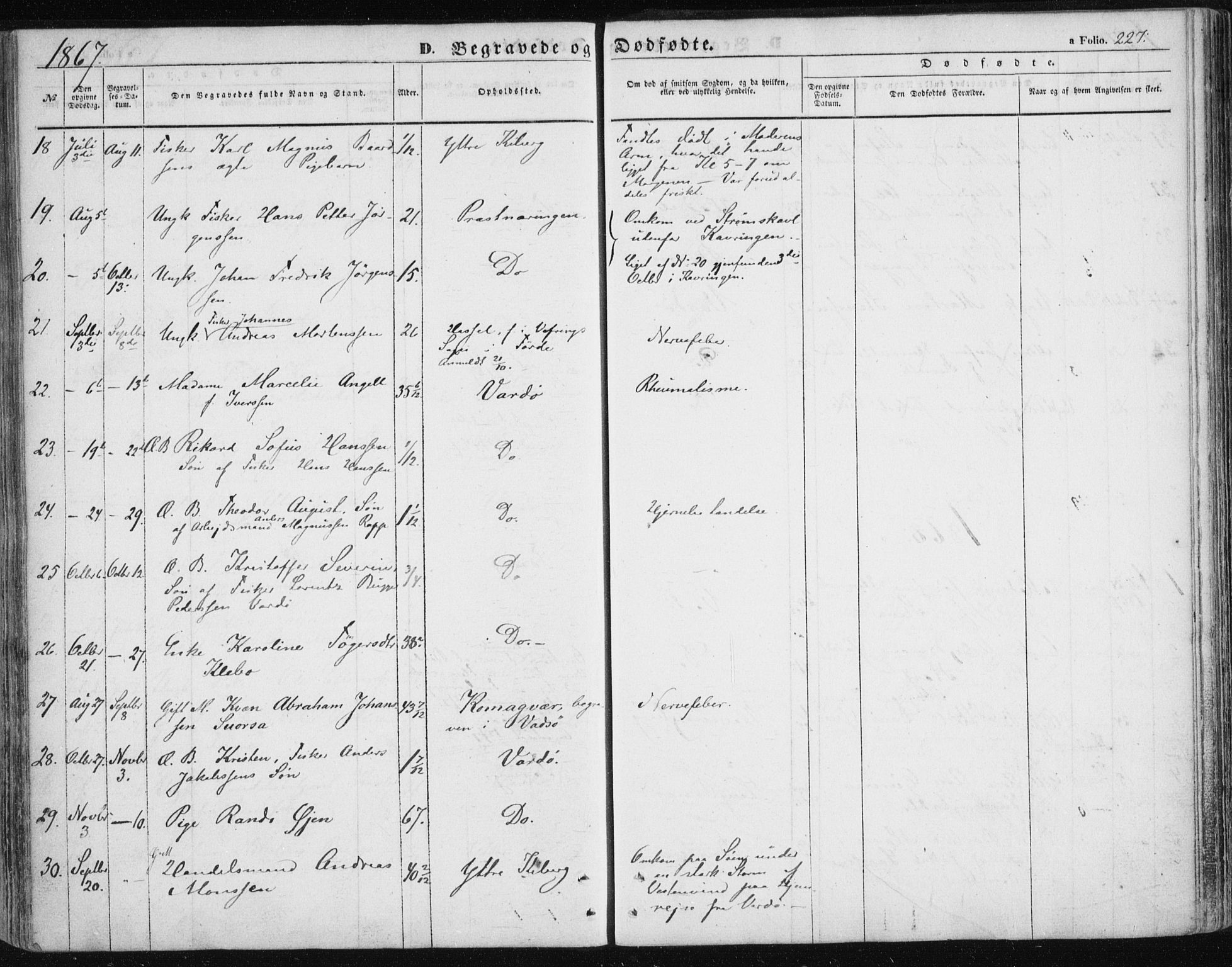 Vardø sokneprestkontor, SATØ/S-1332/H/Ha/L0004kirke: Parish register (official) no. 4, 1862-1871, p. 227