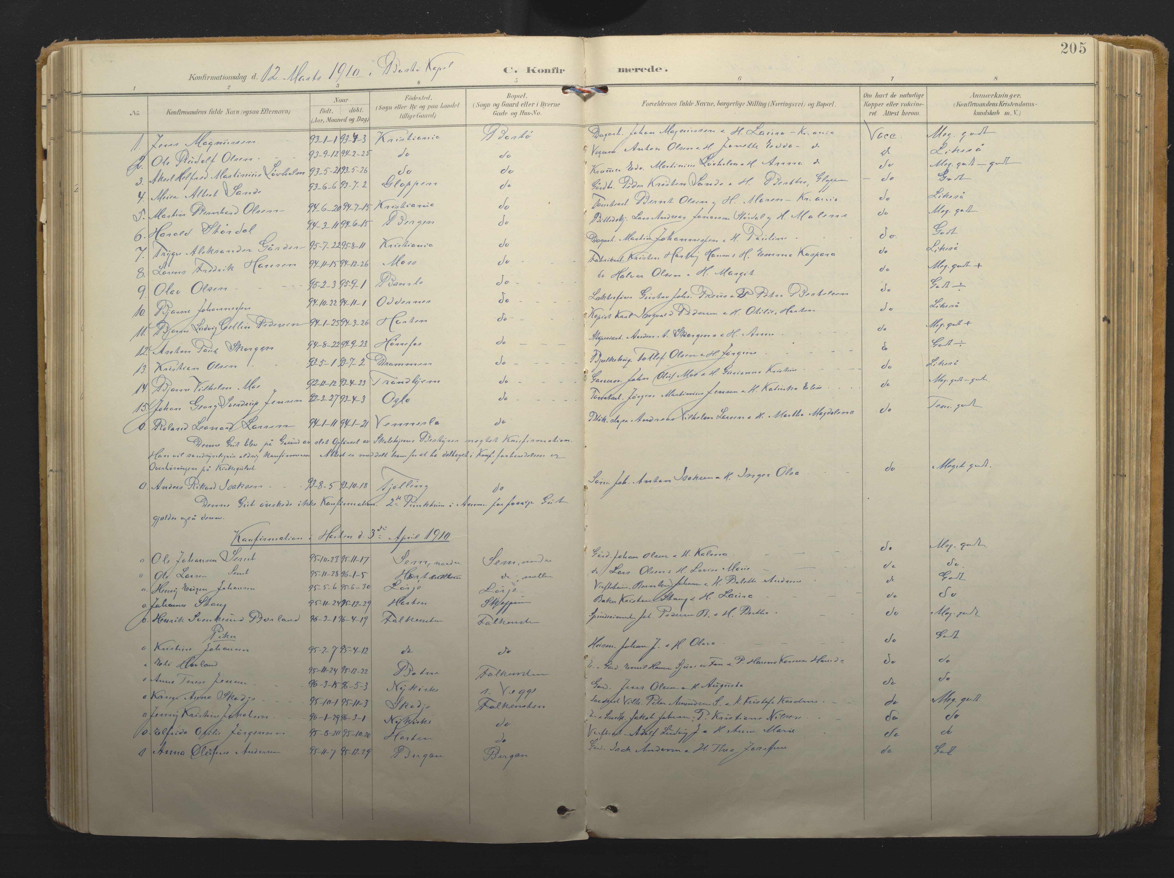 Borre kirkebøker, AV/SAKO-A-338/F/Fa/L0011: Parish register (official) no. I 11, 1897-1921, p. 205