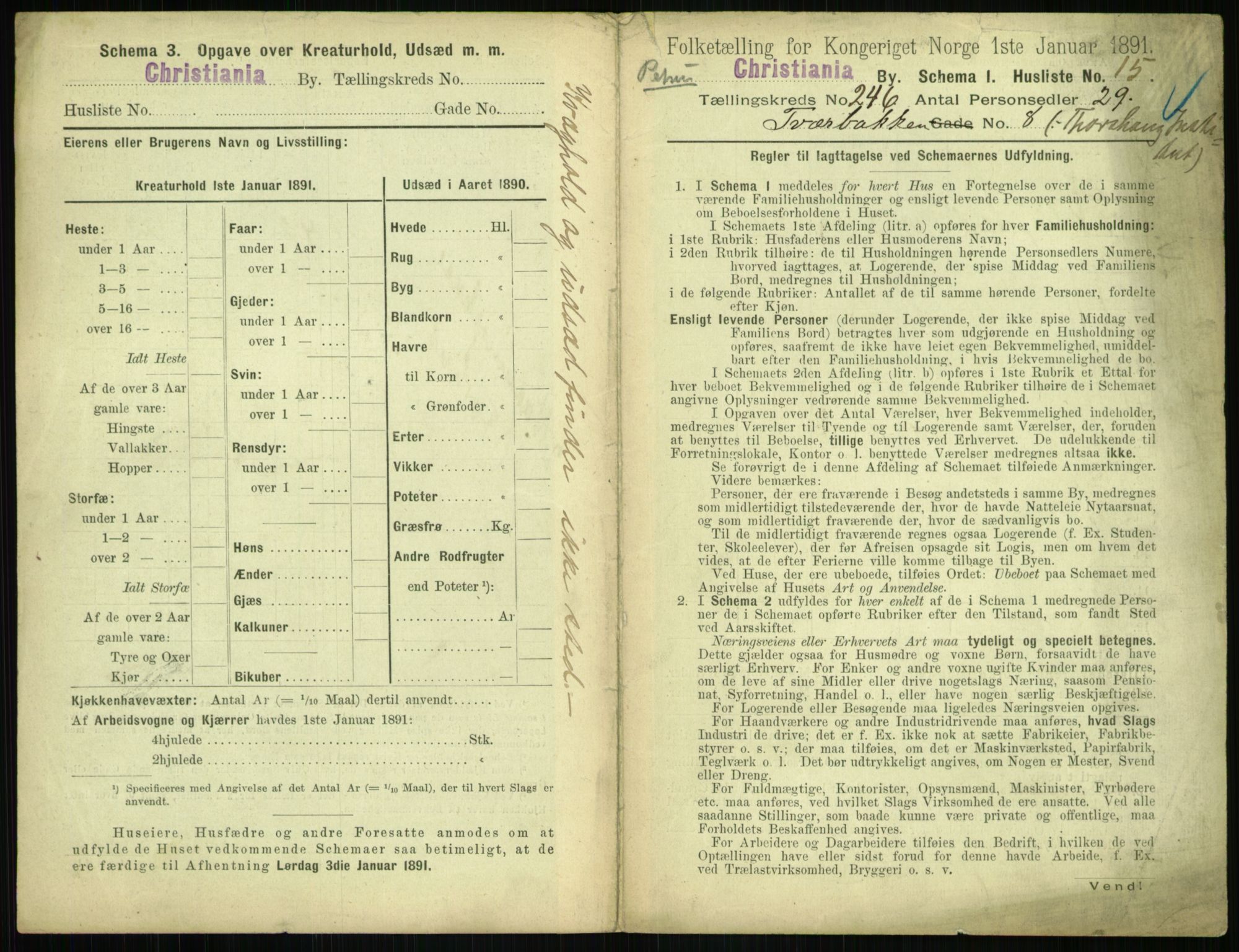 RA, 1891 census for 0301 Kristiania, 1891, p. 149971