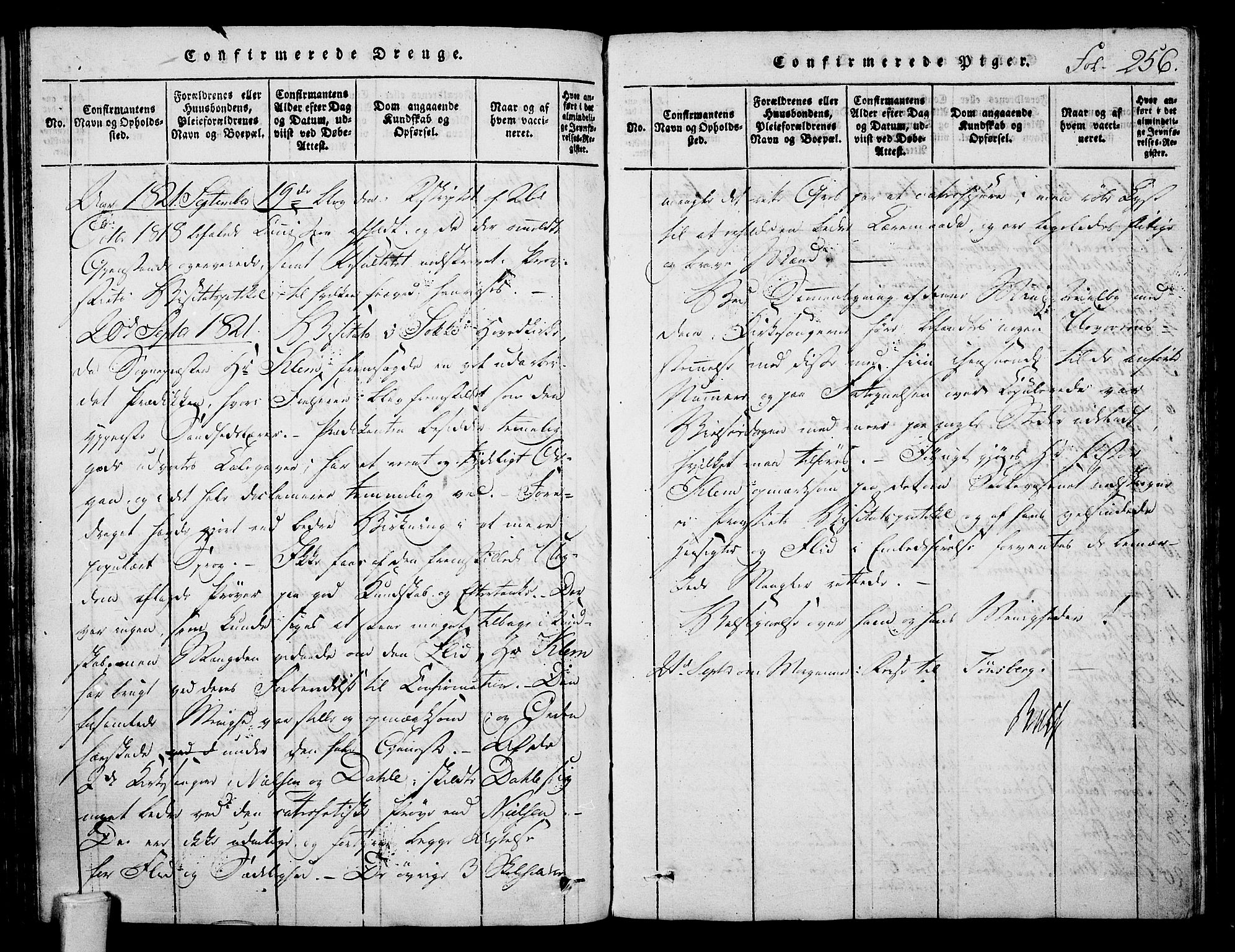 Stokke kirkebøker, SAKO/A-320/F/Fa/L0005: Parish register (official) no. I 5, 1815-1826, p. 256