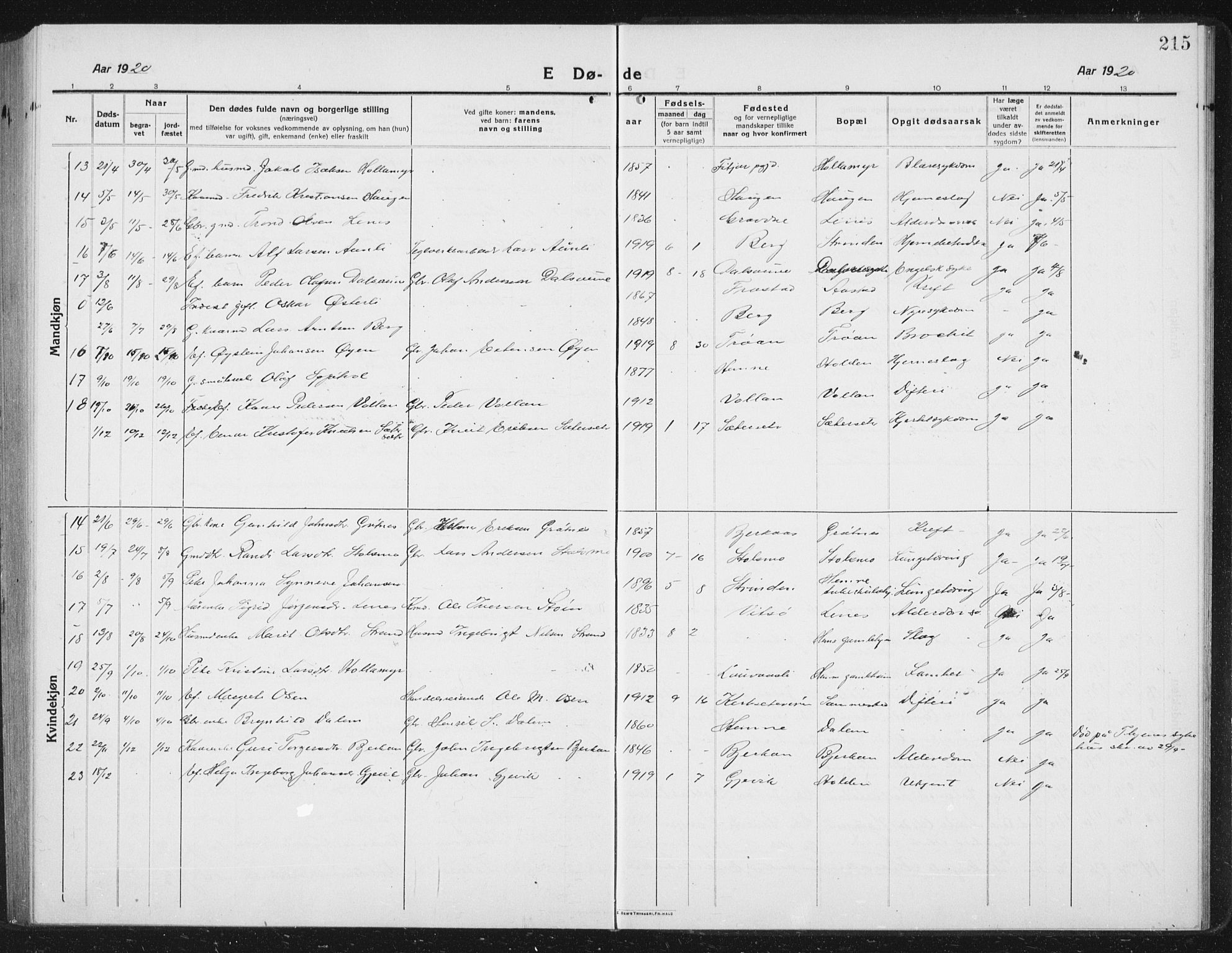 Ministerialprotokoller, klokkerbøker og fødselsregistre - Sør-Trøndelag, SAT/A-1456/630/L0506: Parish register (copy) no. 630C04, 1914-1933, p. 215