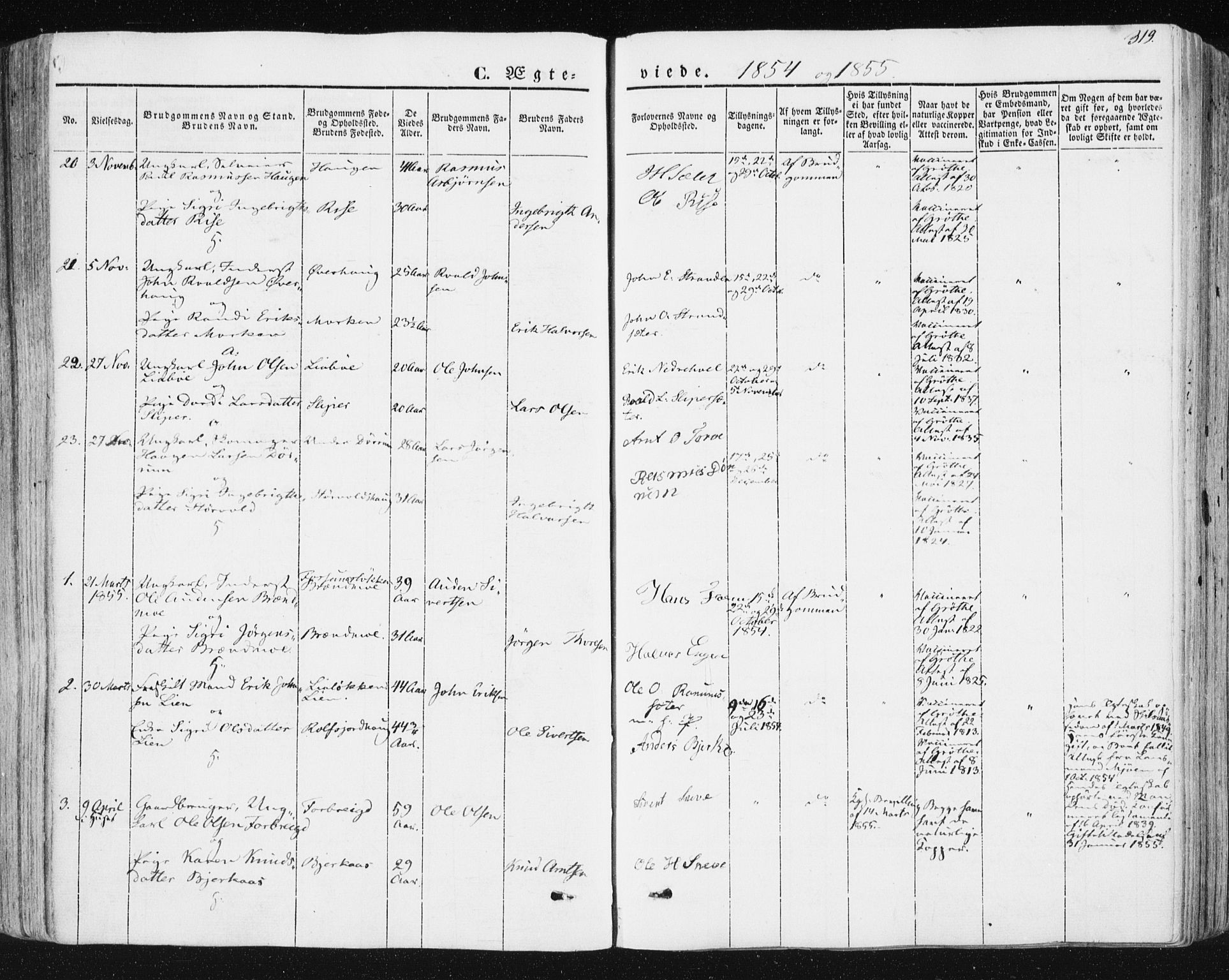 Ministerialprotokoller, klokkerbøker og fødselsregistre - Sør-Trøndelag, SAT/A-1456/678/L0899: Parish register (official) no. 678A08, 1848-1872, p. 319
